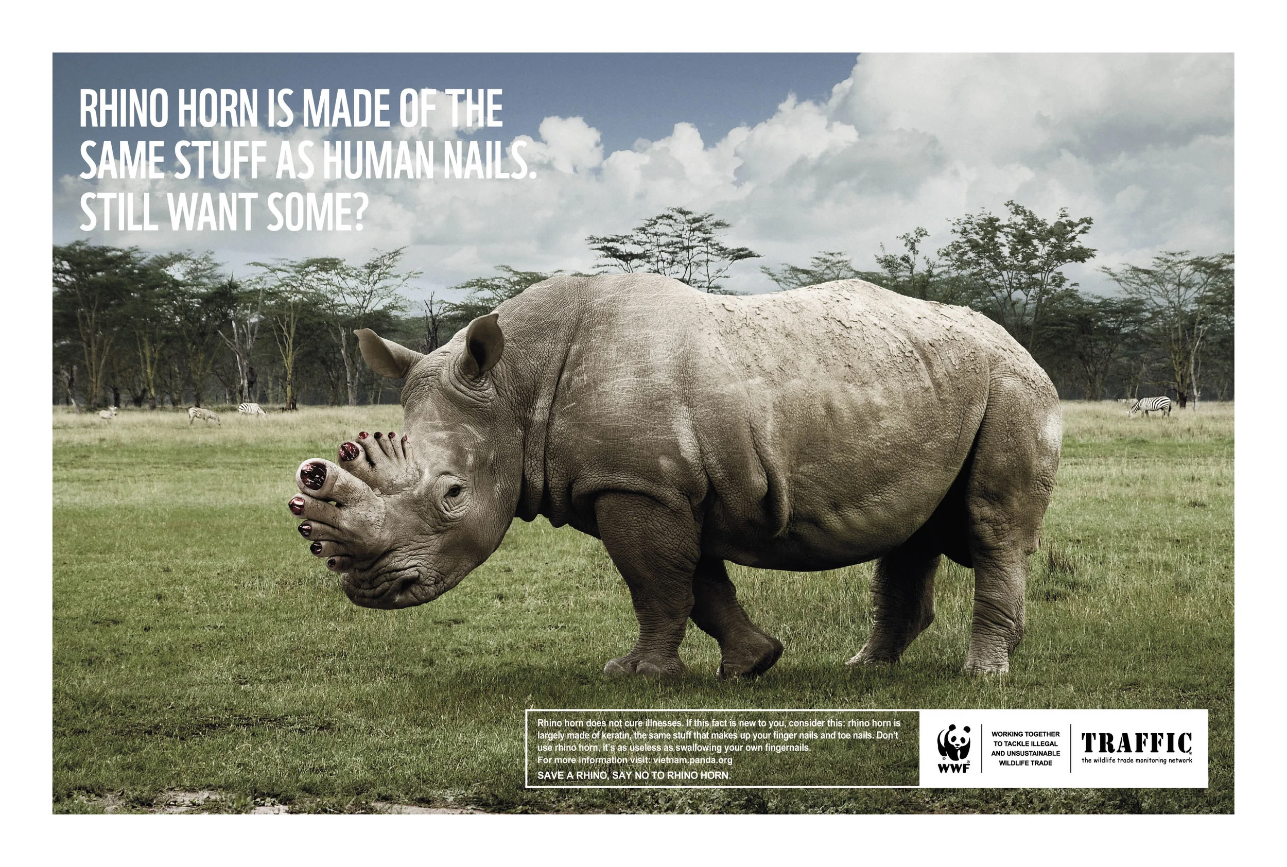 WWF. Rhino horn