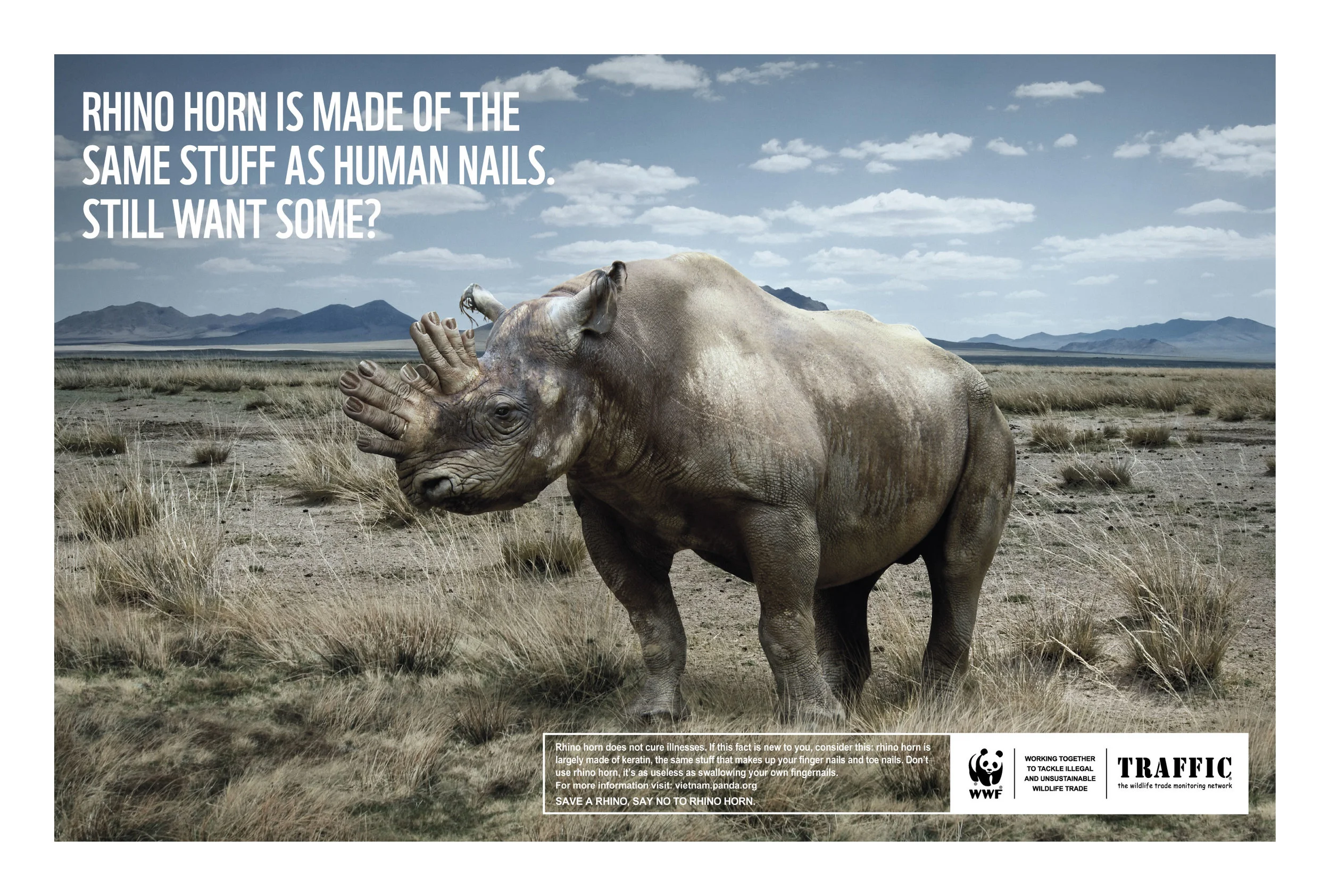 WWF. Rhino Horn.
