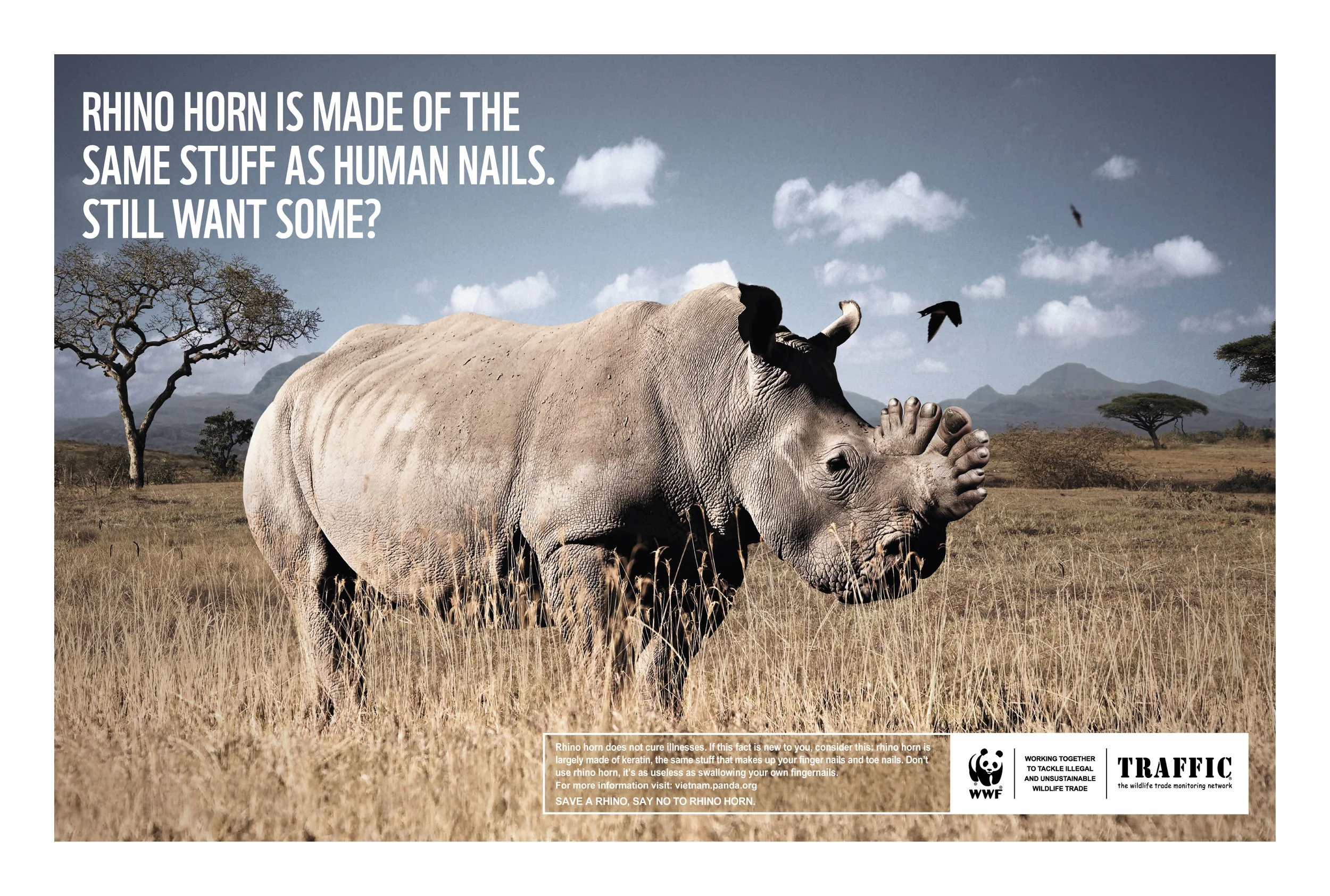WWF. Rhino horn.