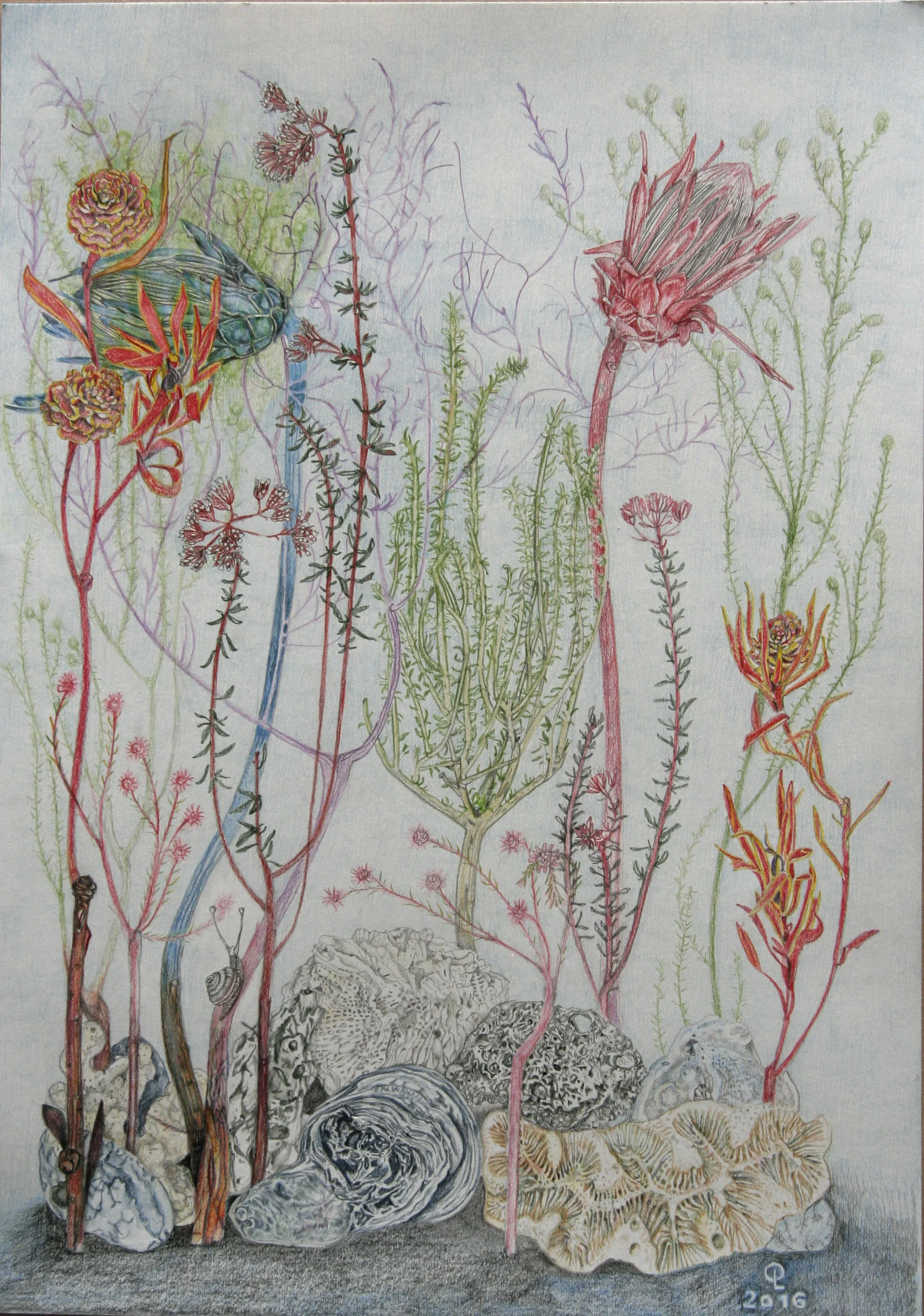 shells_and_flowers.jpg
