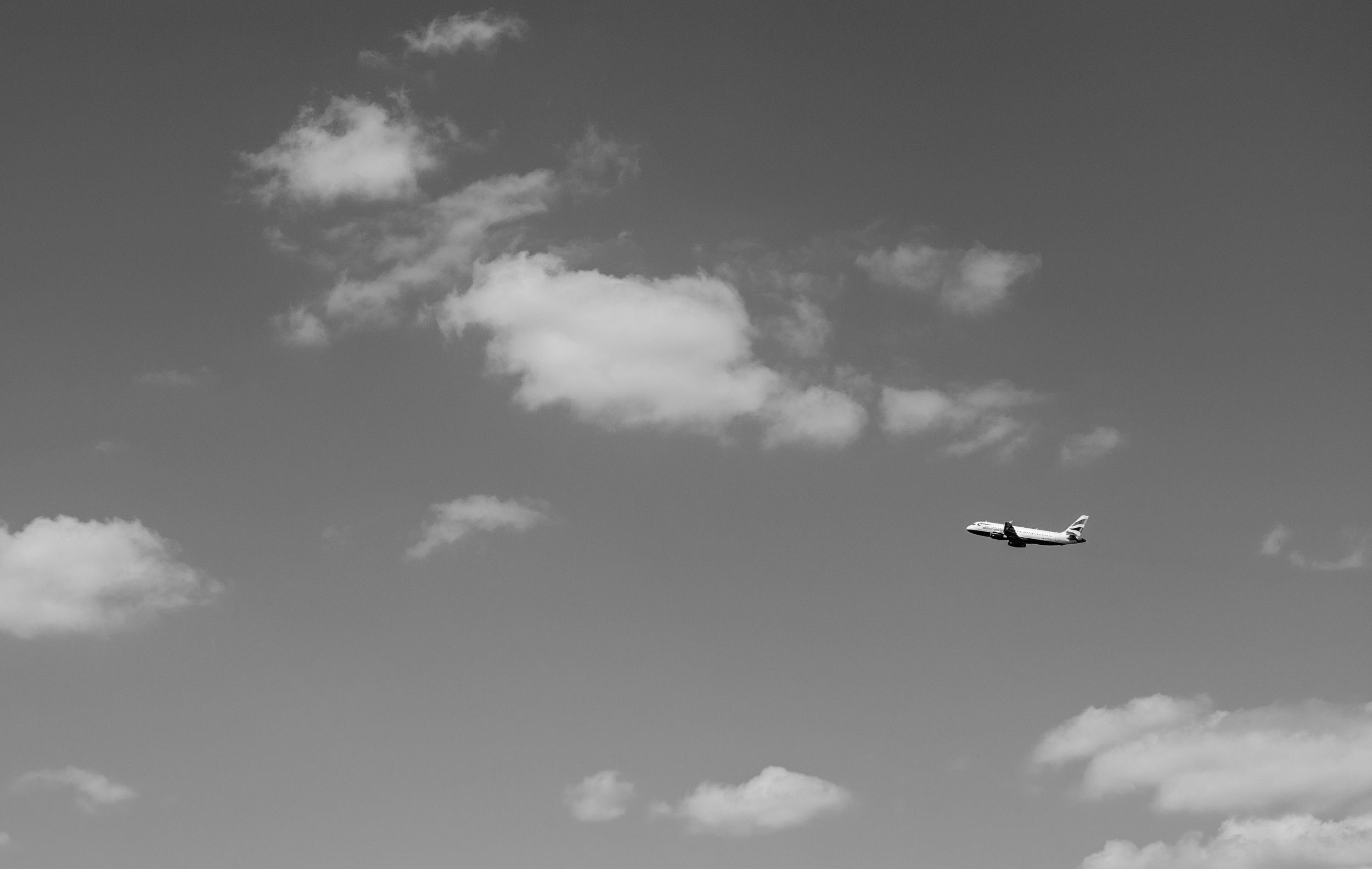 DSC_0046.jpg