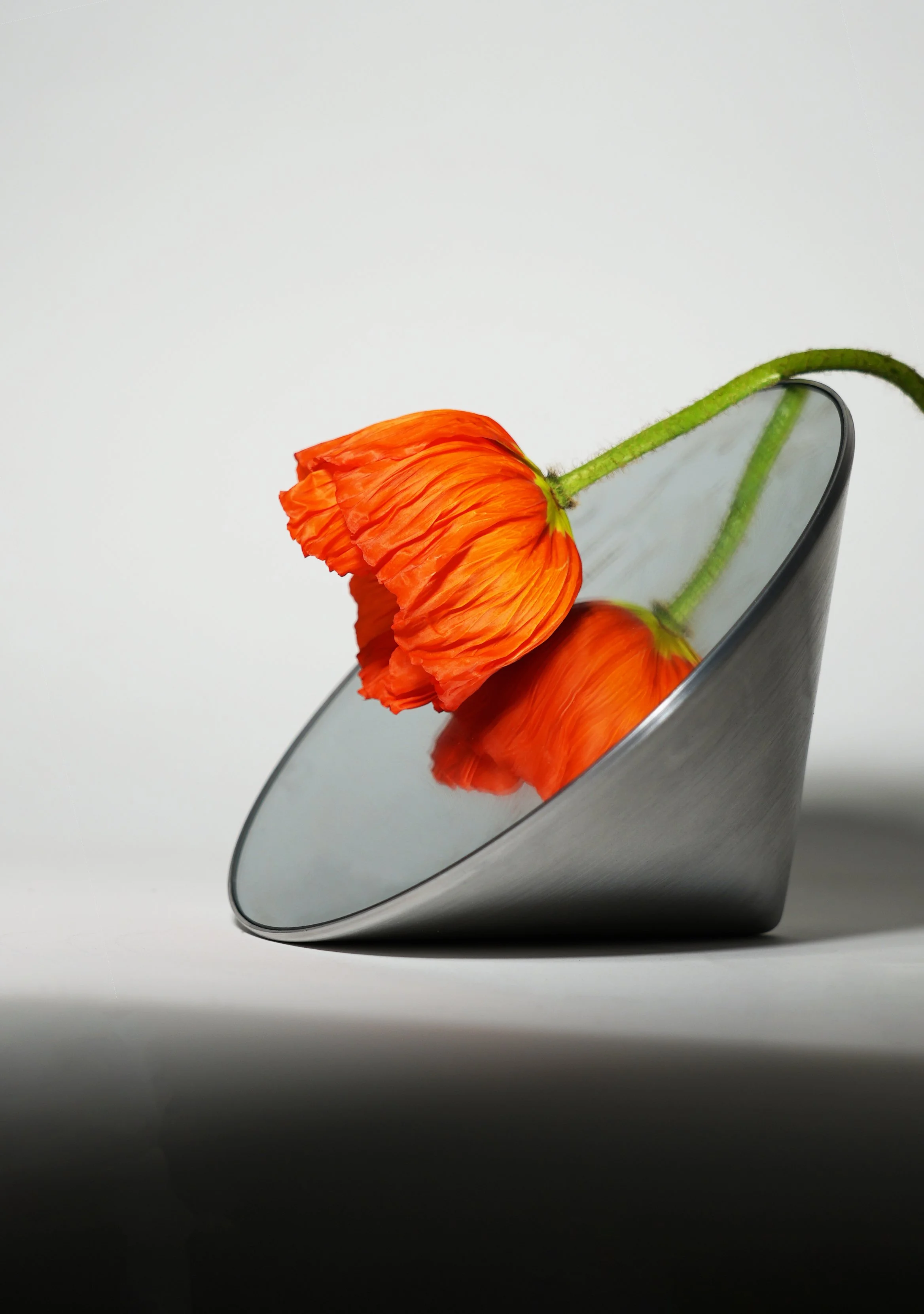 DSC00793 copyy copy (1).jpg