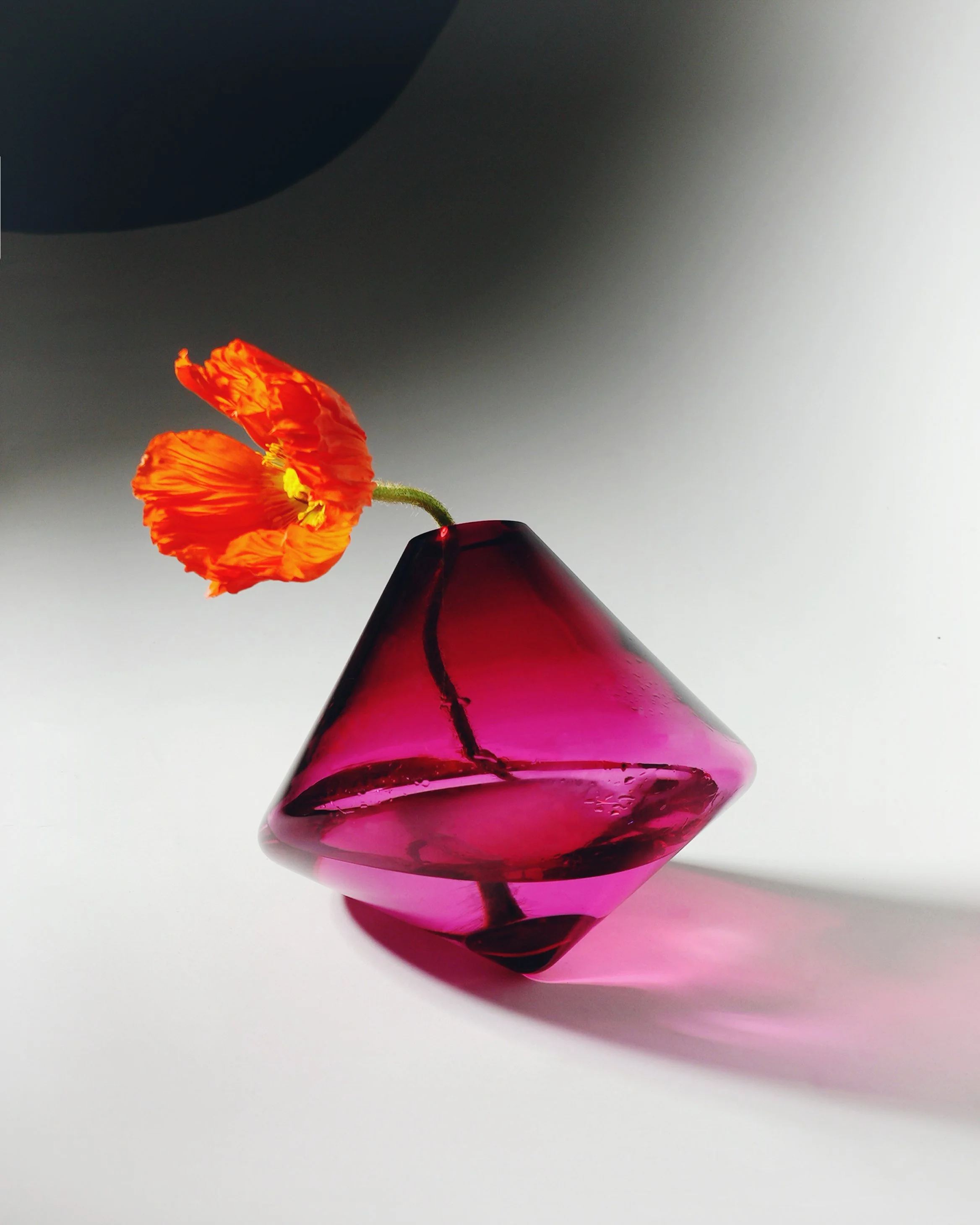 DSC00693 copy1 copy 2.jpg