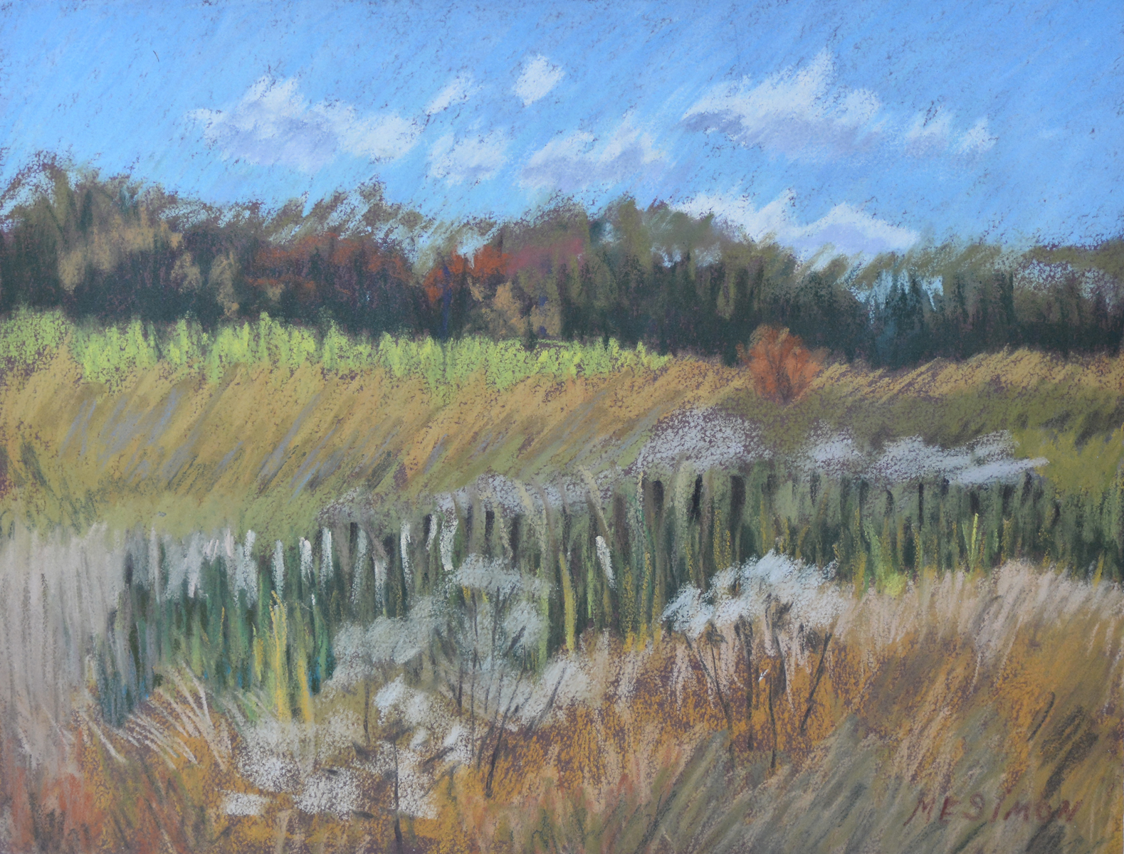 M.E. Simon, Autumn Wetlands