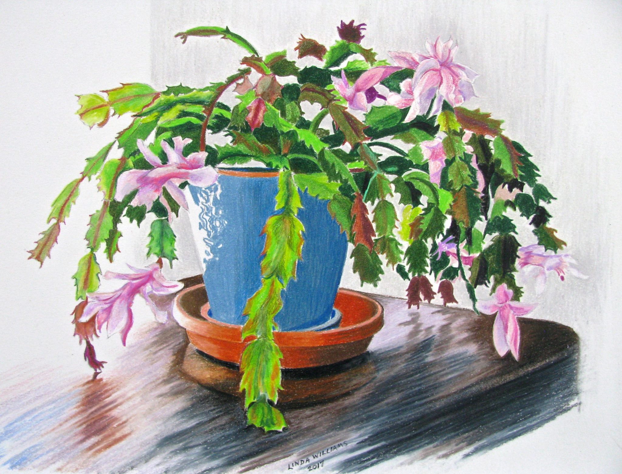 L. Williams, Xmas Cactus