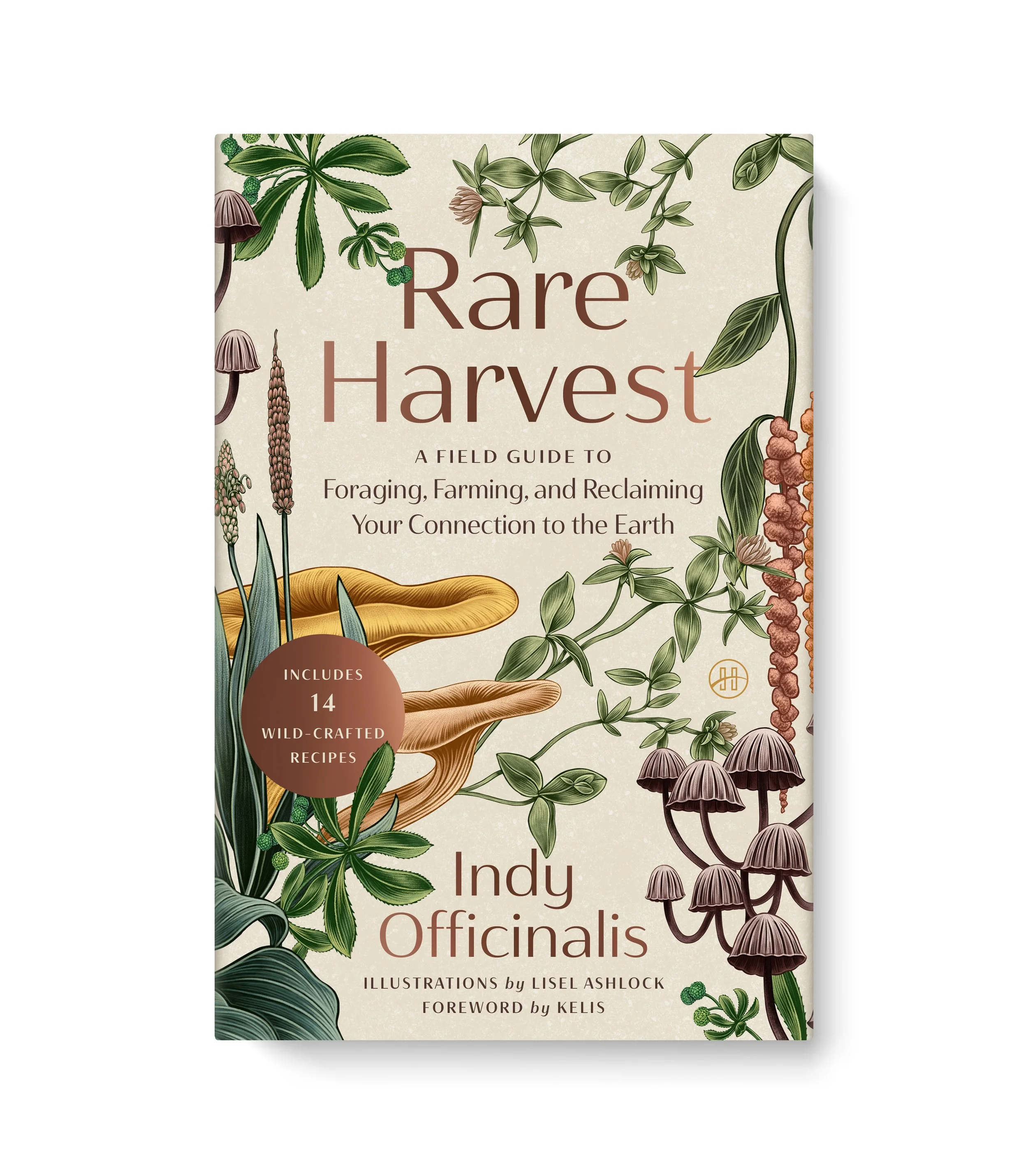 HarperOne Books | Jacket art: Lisel Ashlock