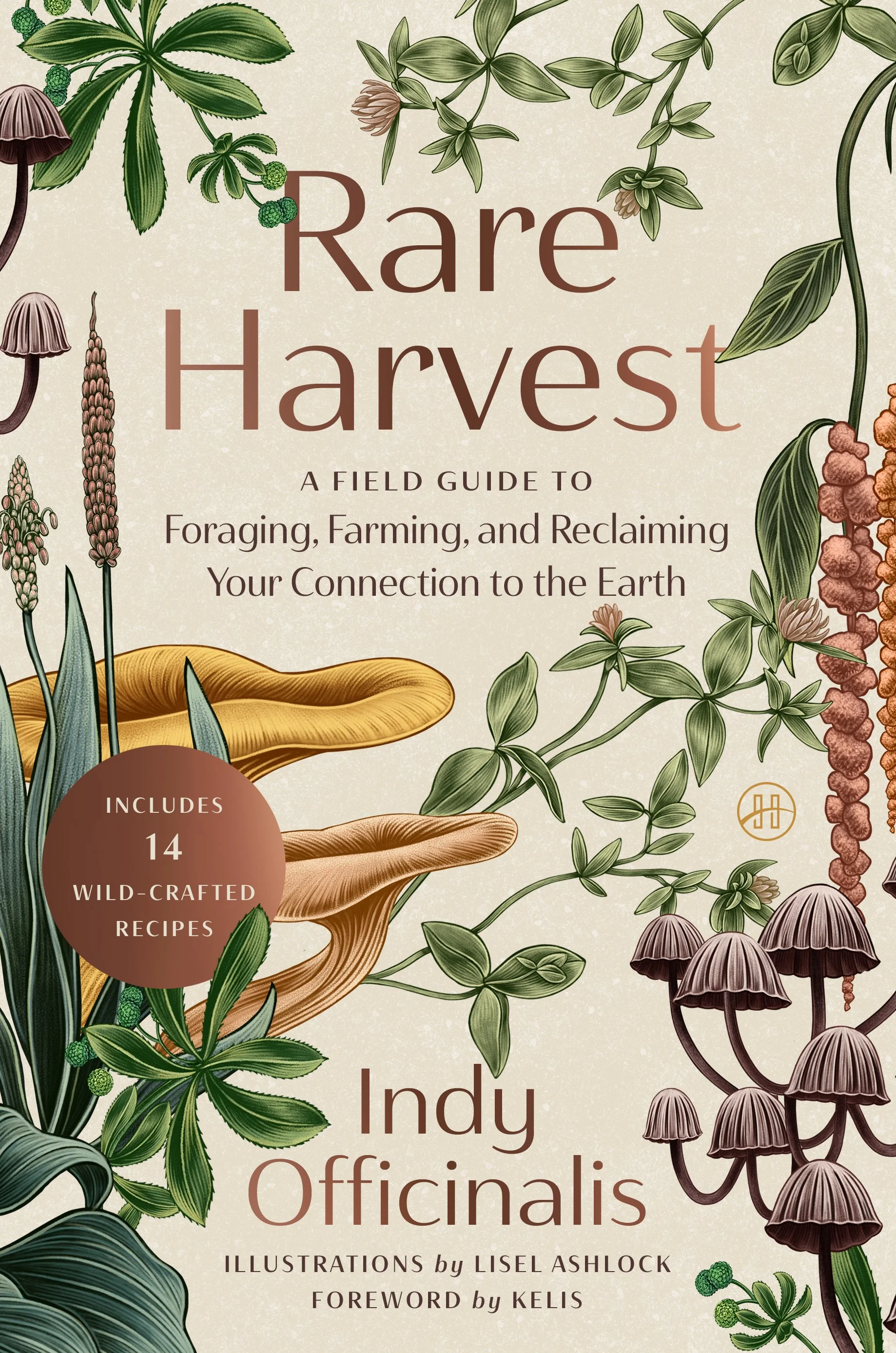 HarperOne Books | Jacket art: Lisel Ashlock