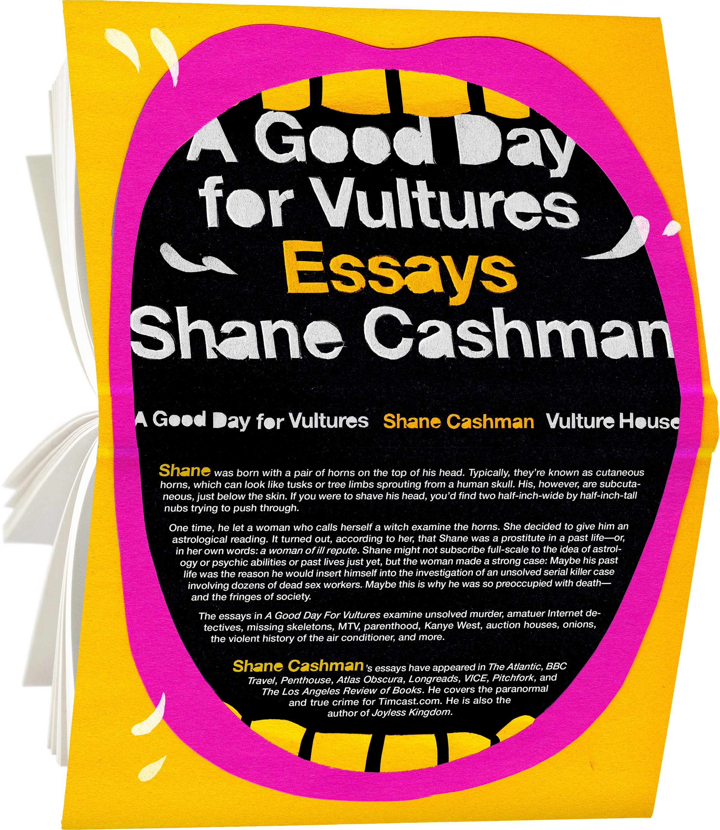 Vulture House Press