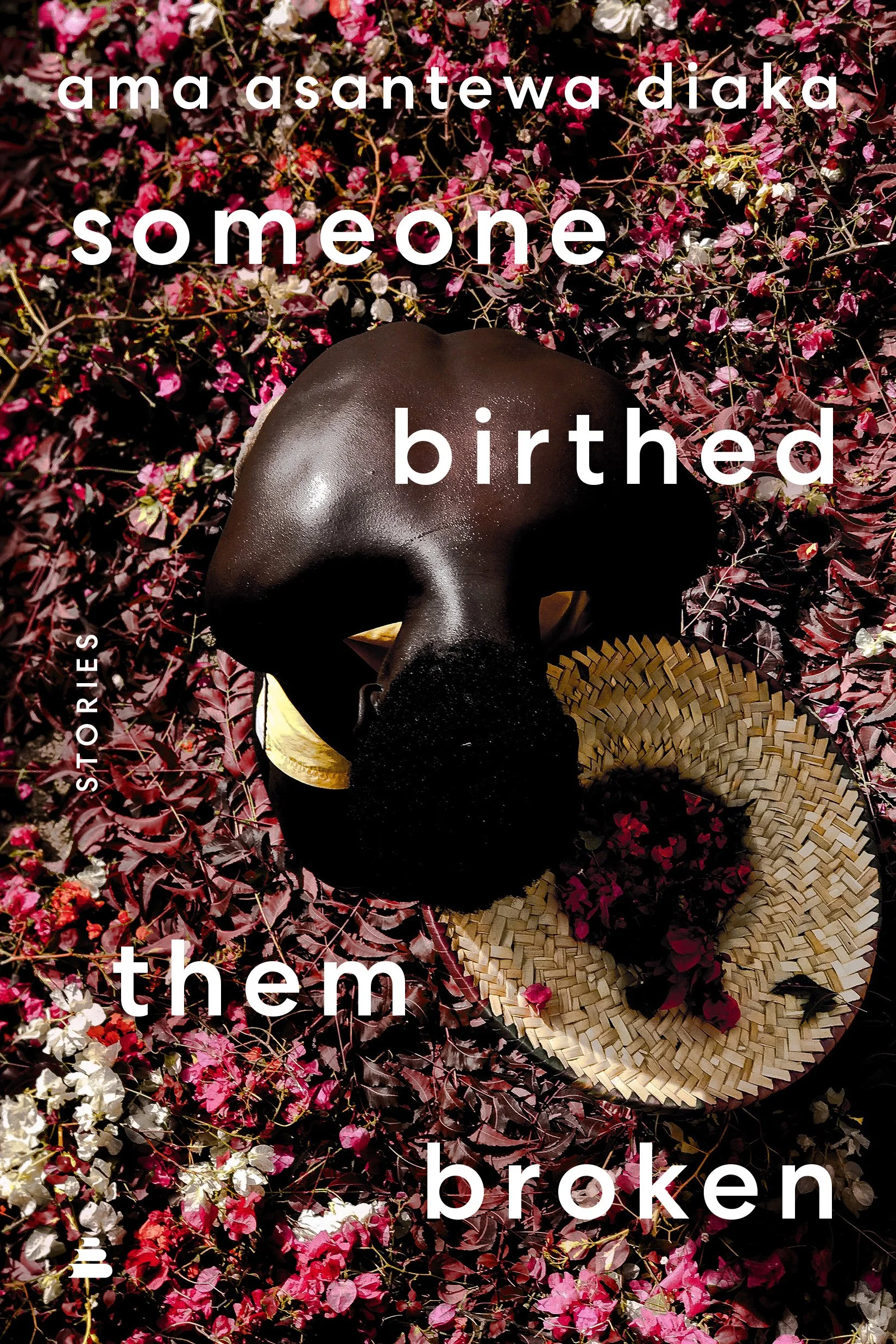 Amistad Books <br> Jacket design: Alicia Tatone