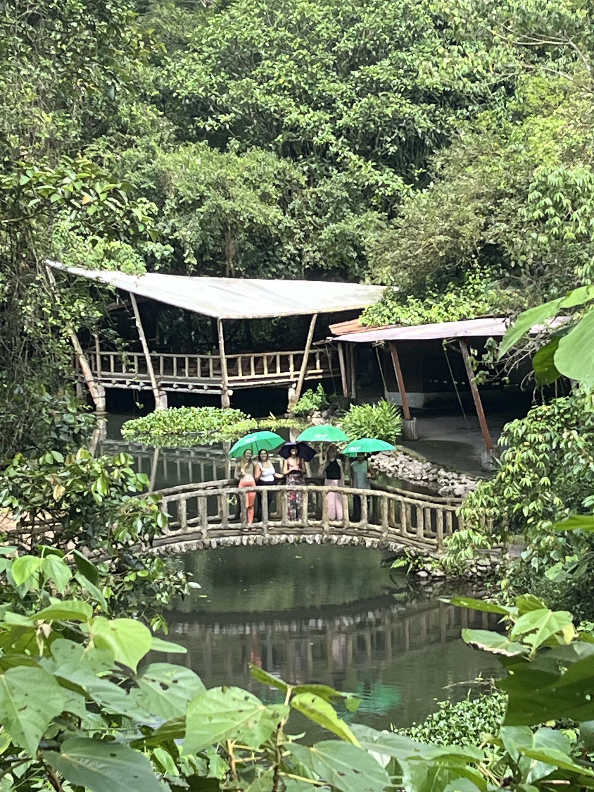 Inspired by the leaf cutting ants