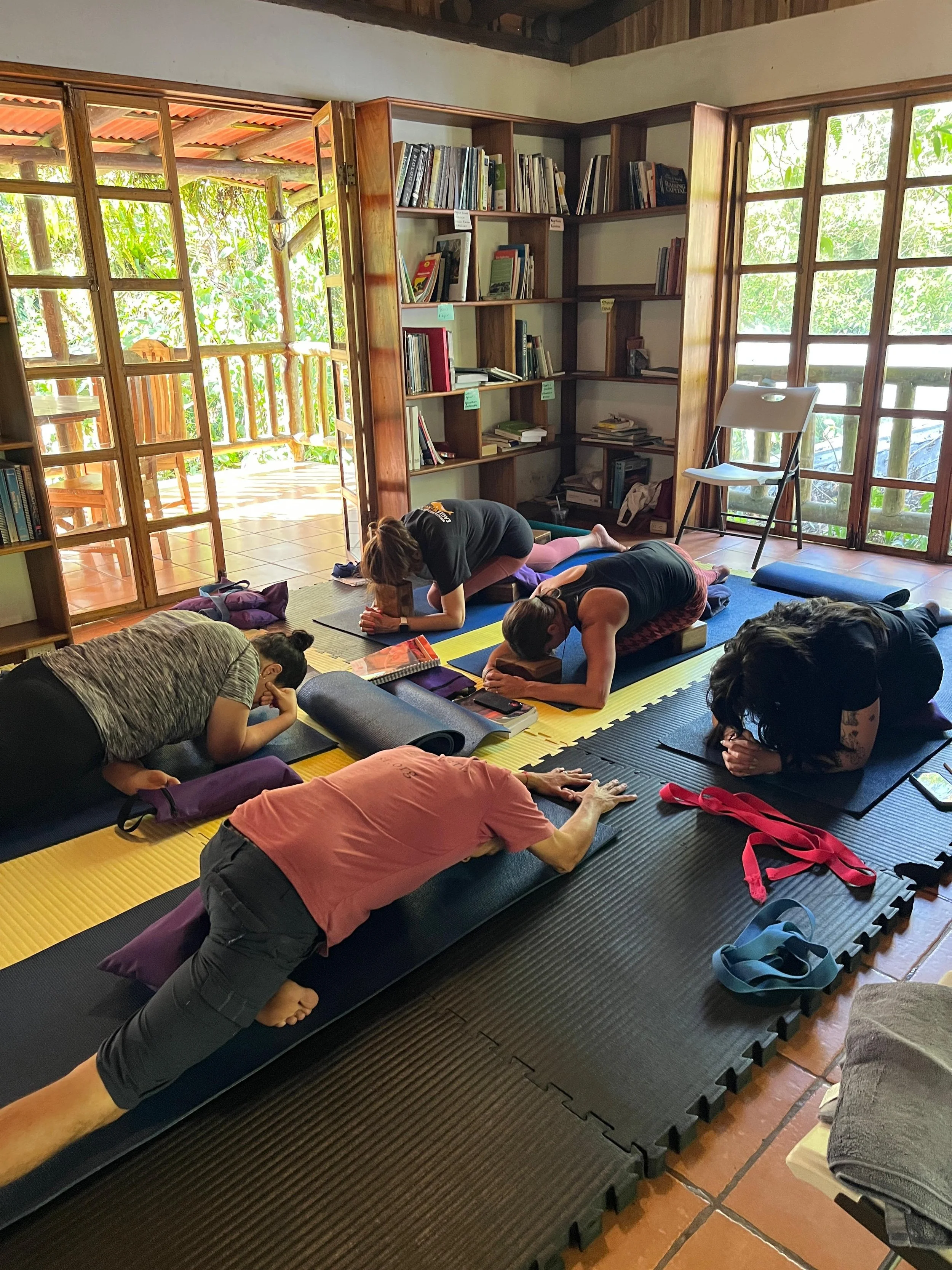 "Yin is IN" Bernie Clark