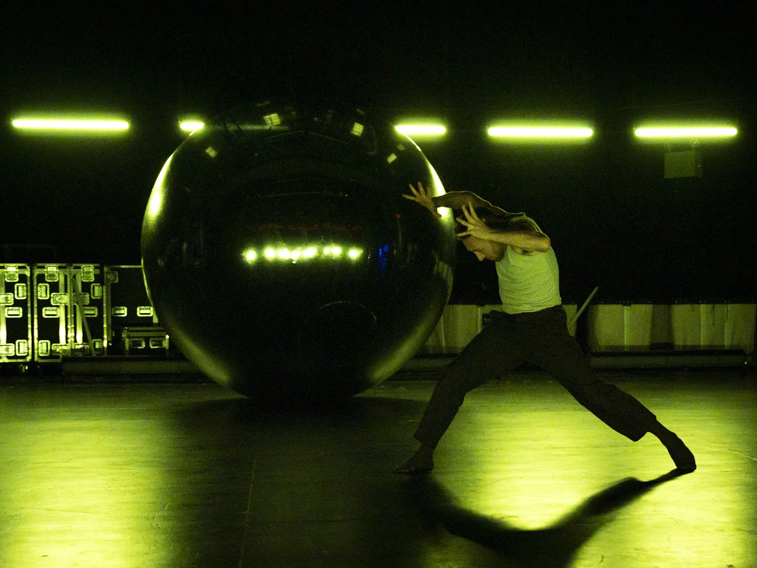 CRY WOLF_BMCC_BY Arnaud Falchier_Small-95.jpg