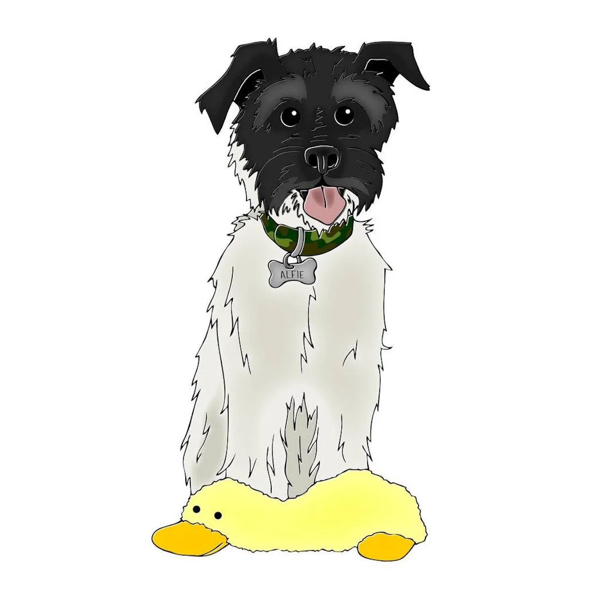 pet1.jpeg