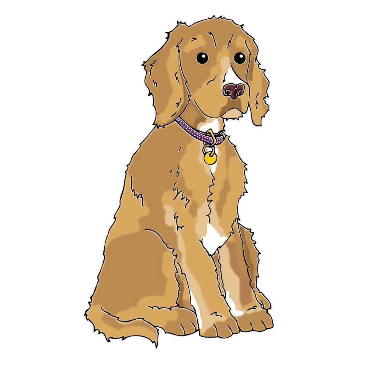 pet4.jpeg