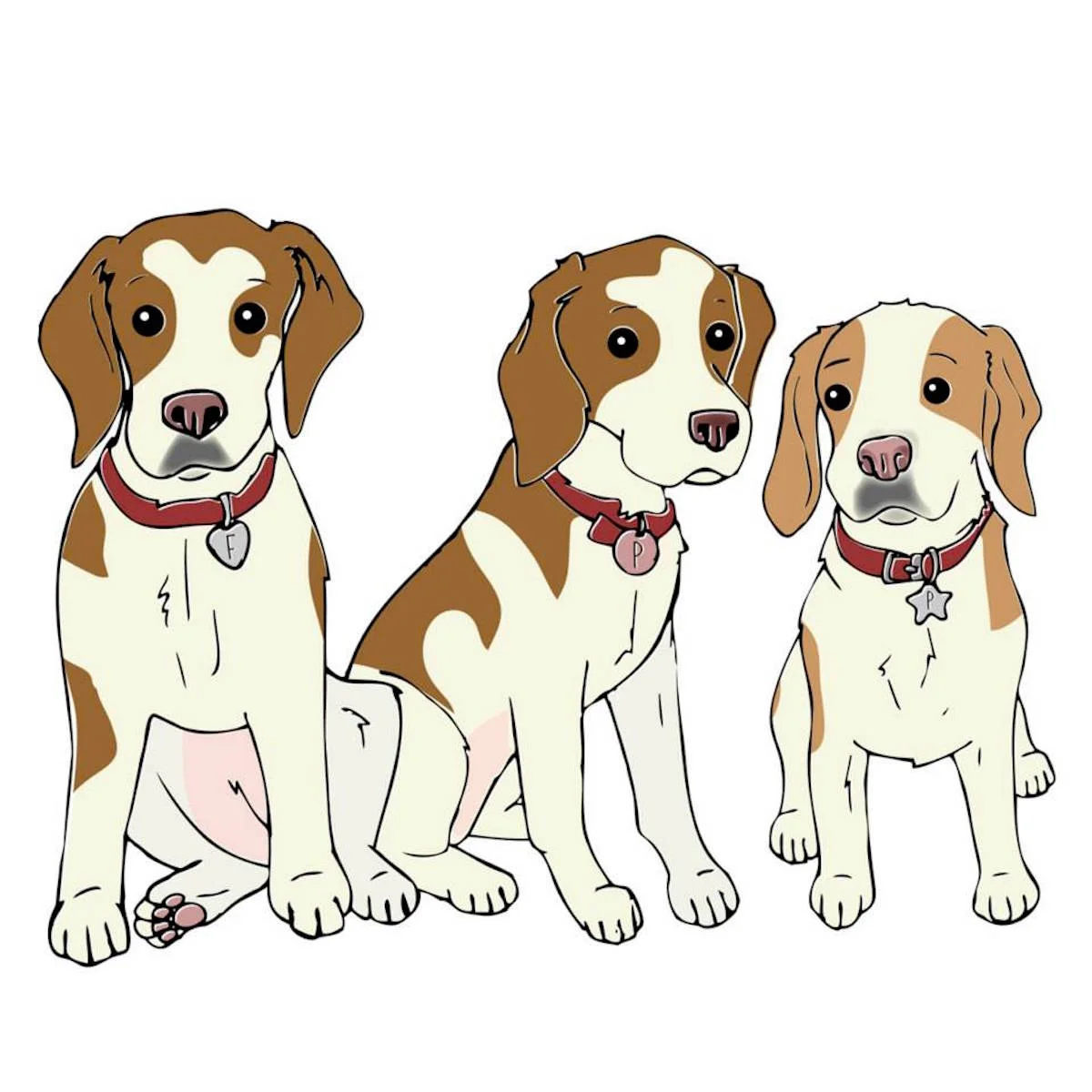 pet6.jpeg