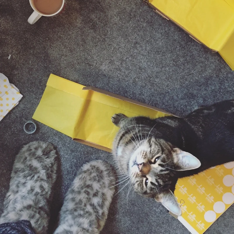 My fuzzy little sunshine helper, Pegs.