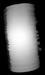 Wire frame of the Gray Matter with the White Matter removed
