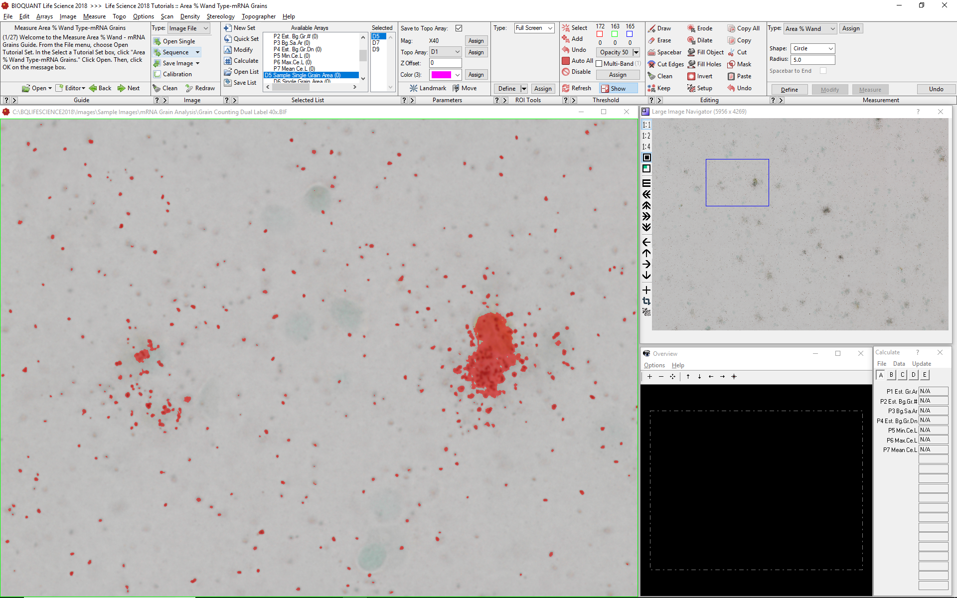 Cellular mRNA Analysis