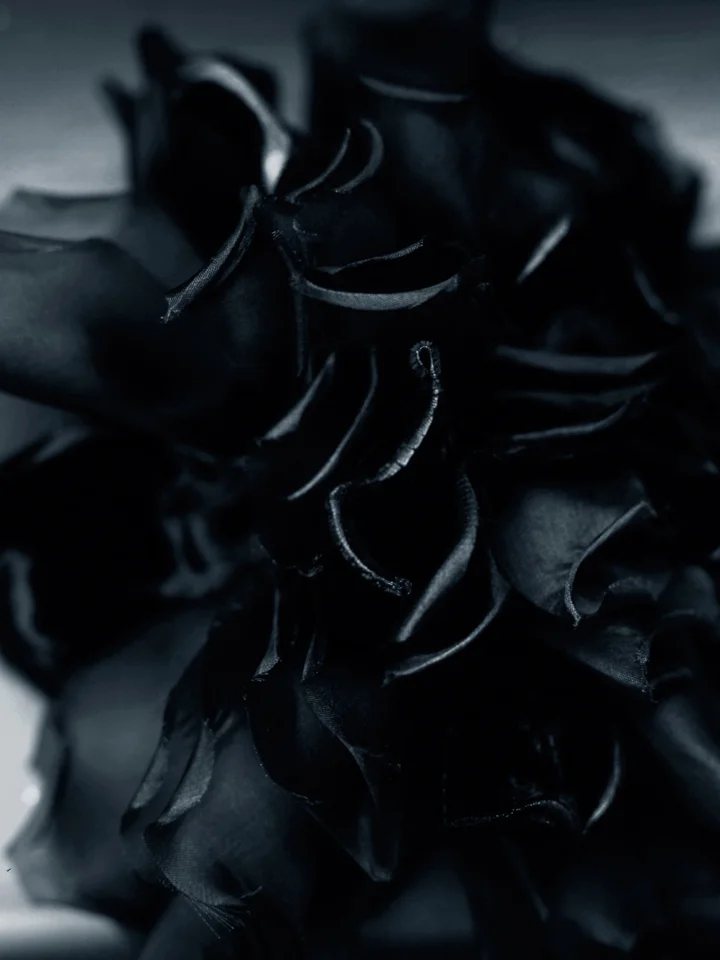 medium_1262012143740879_blackflower.jpg