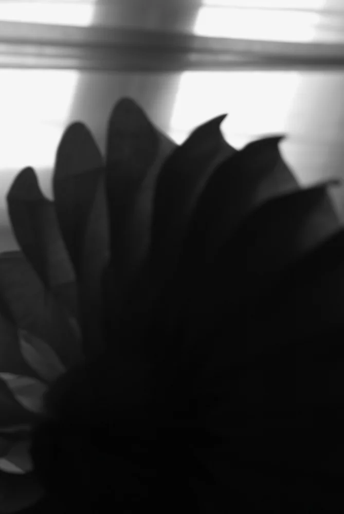 abstract.jpg