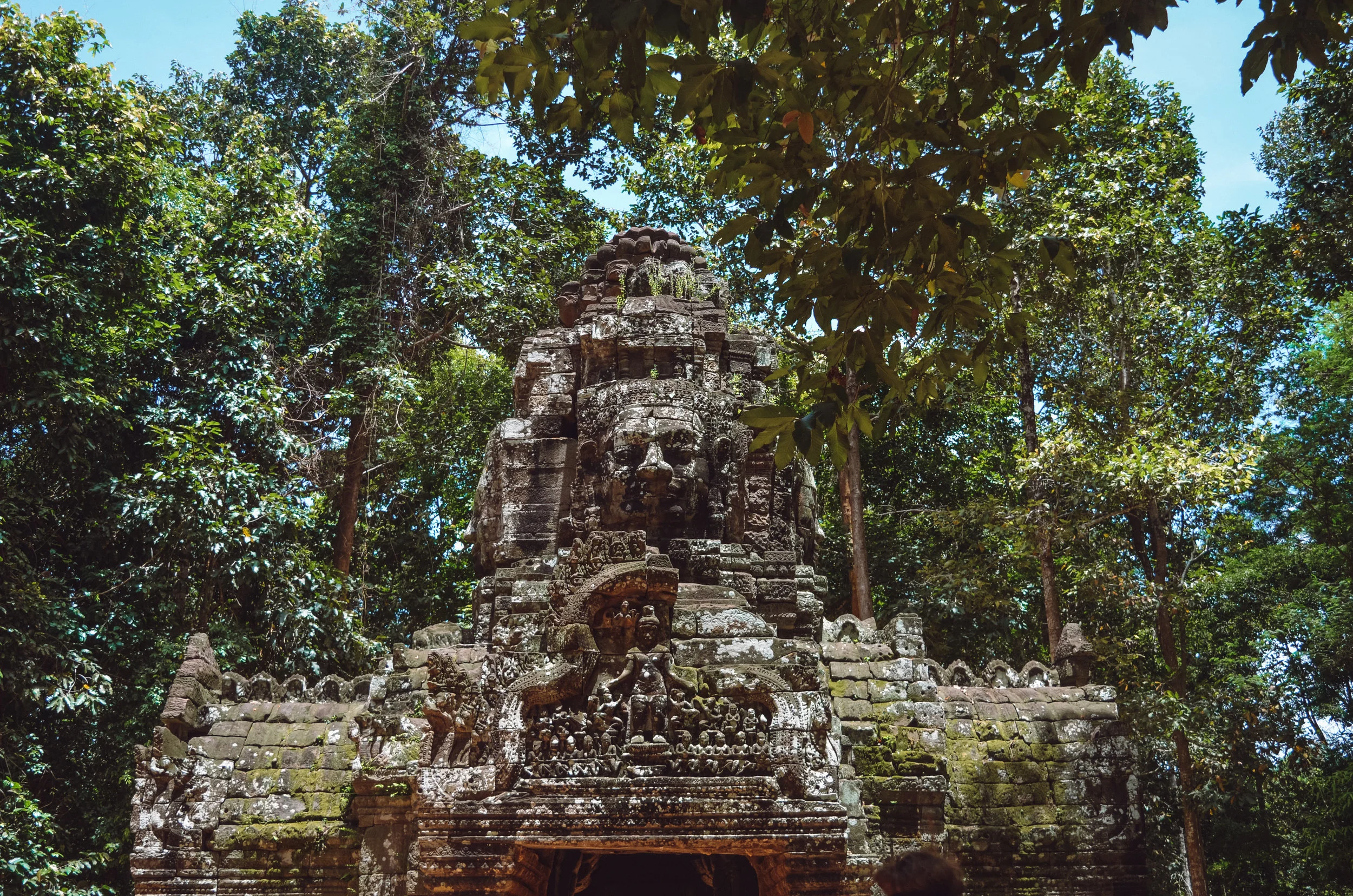 DSC_0300.jpg