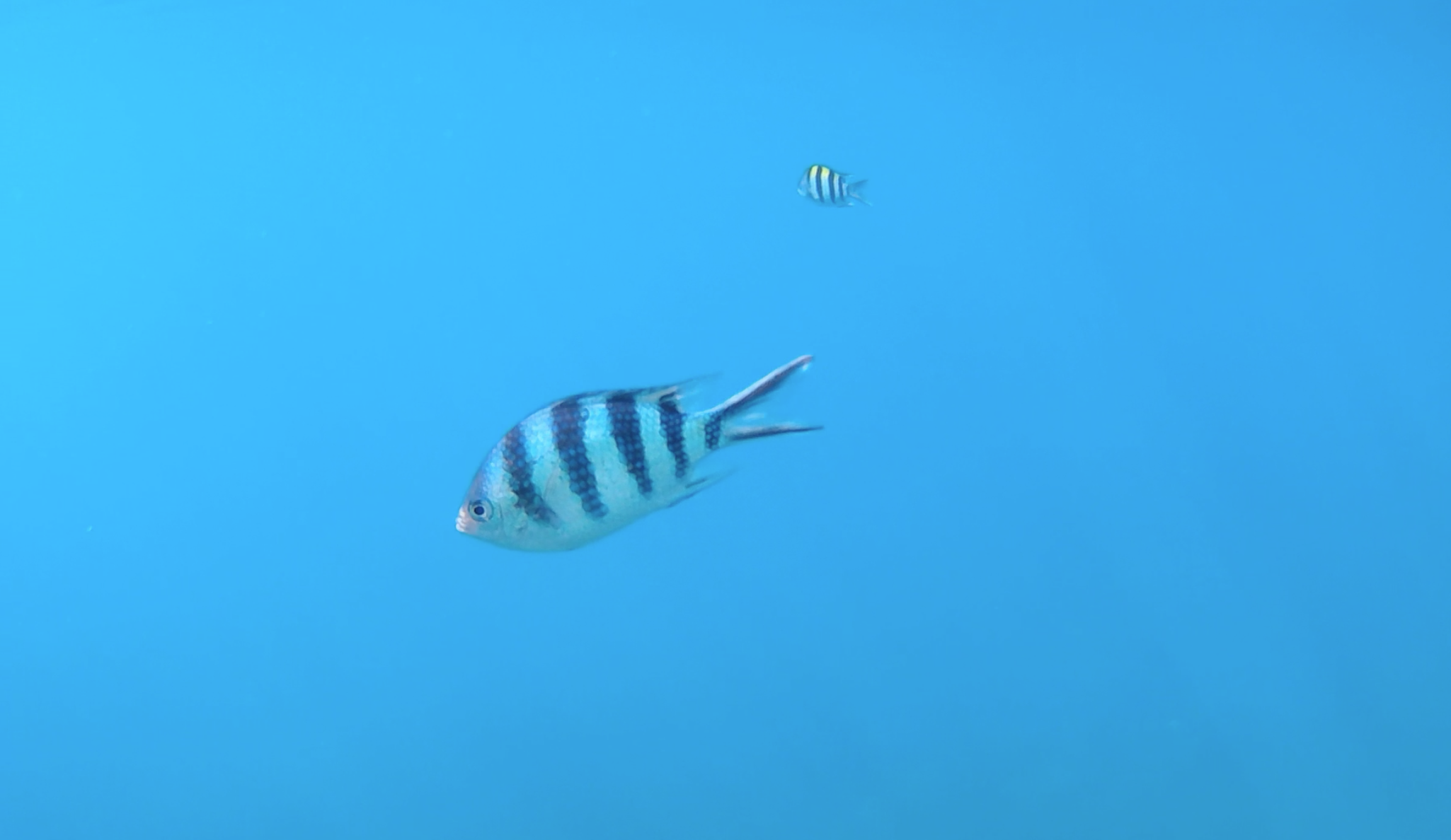 Screenshot 2019-01-31 at 10.34.43.png