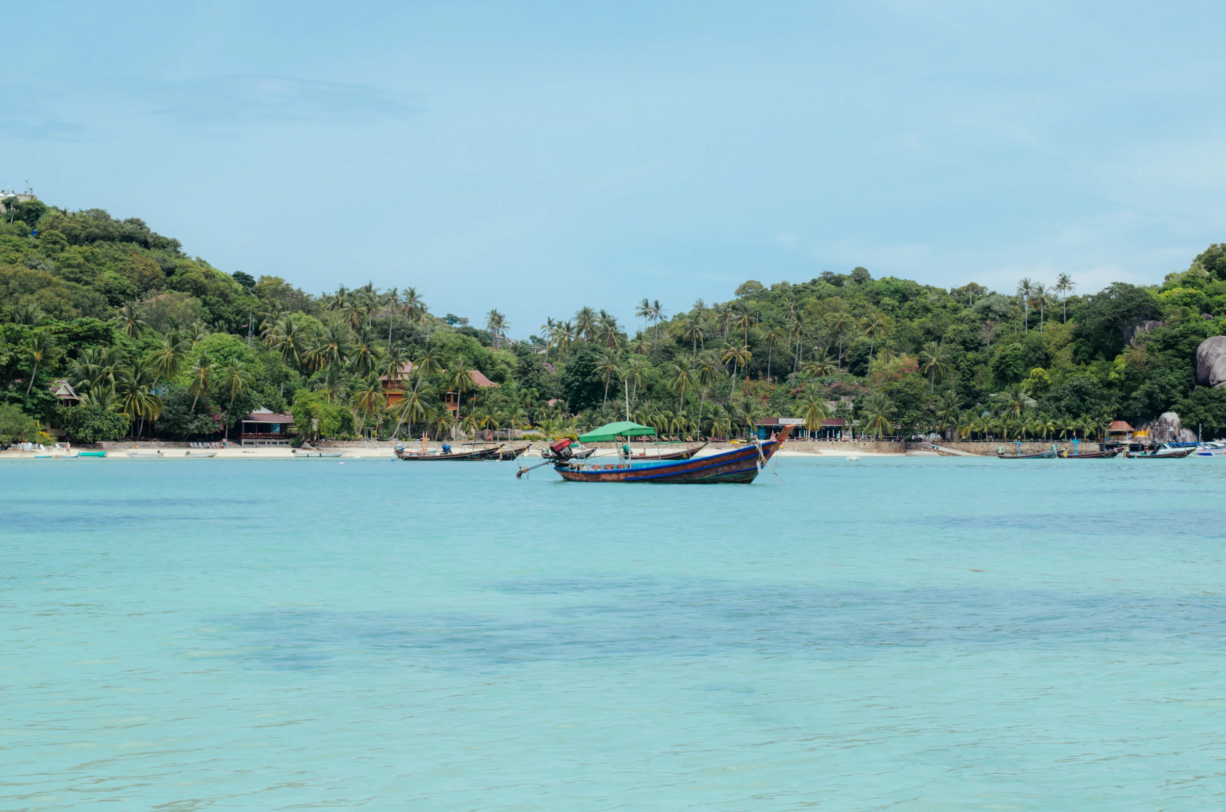 DSC_0065.jpg