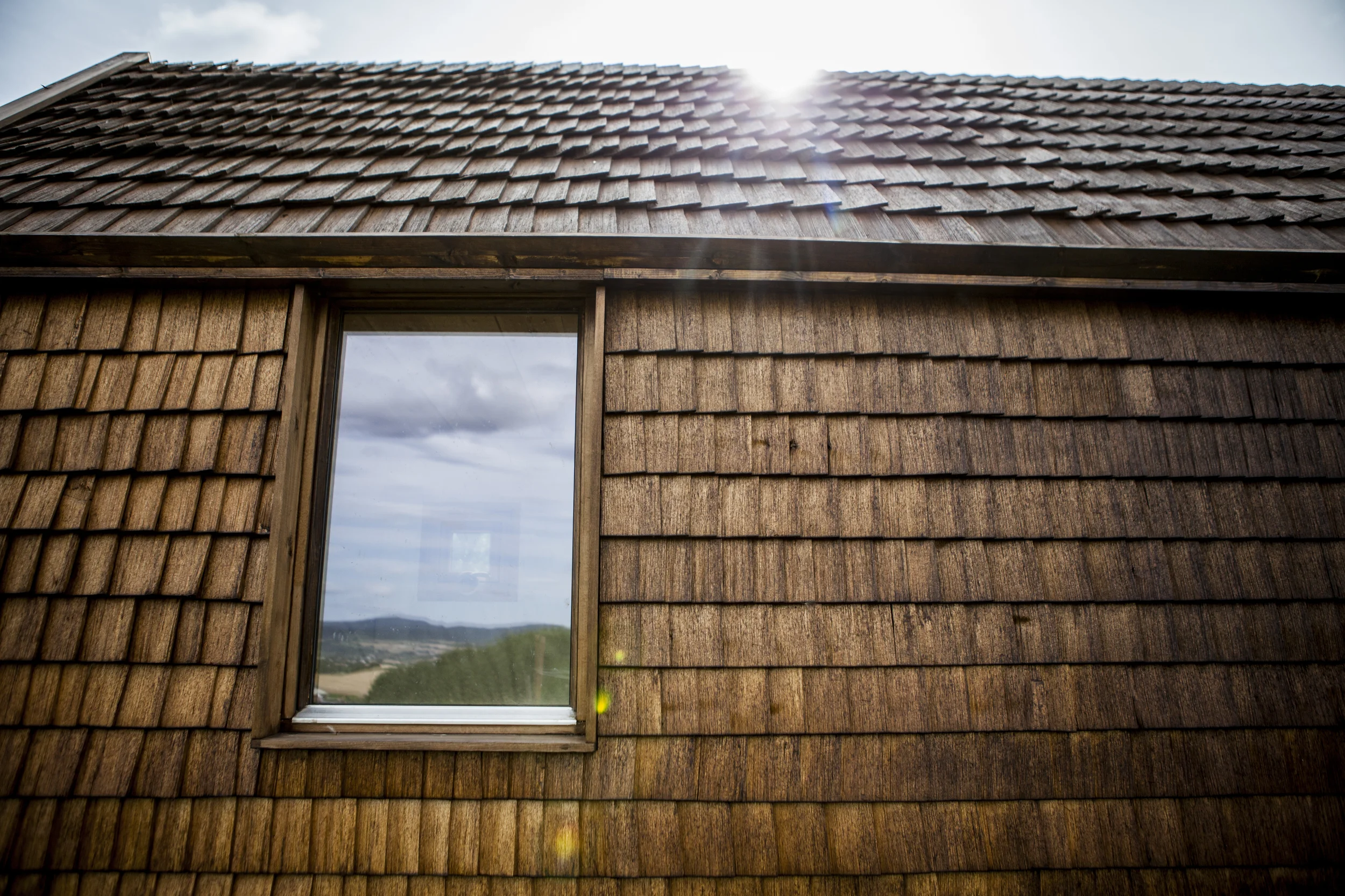 Brun yte på hus foto A Reisch (47).jpg