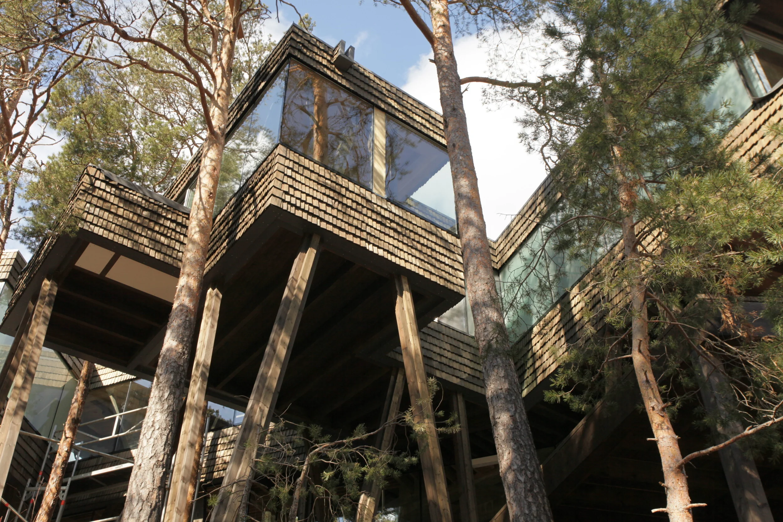 Hytte i skogen 3.JPG