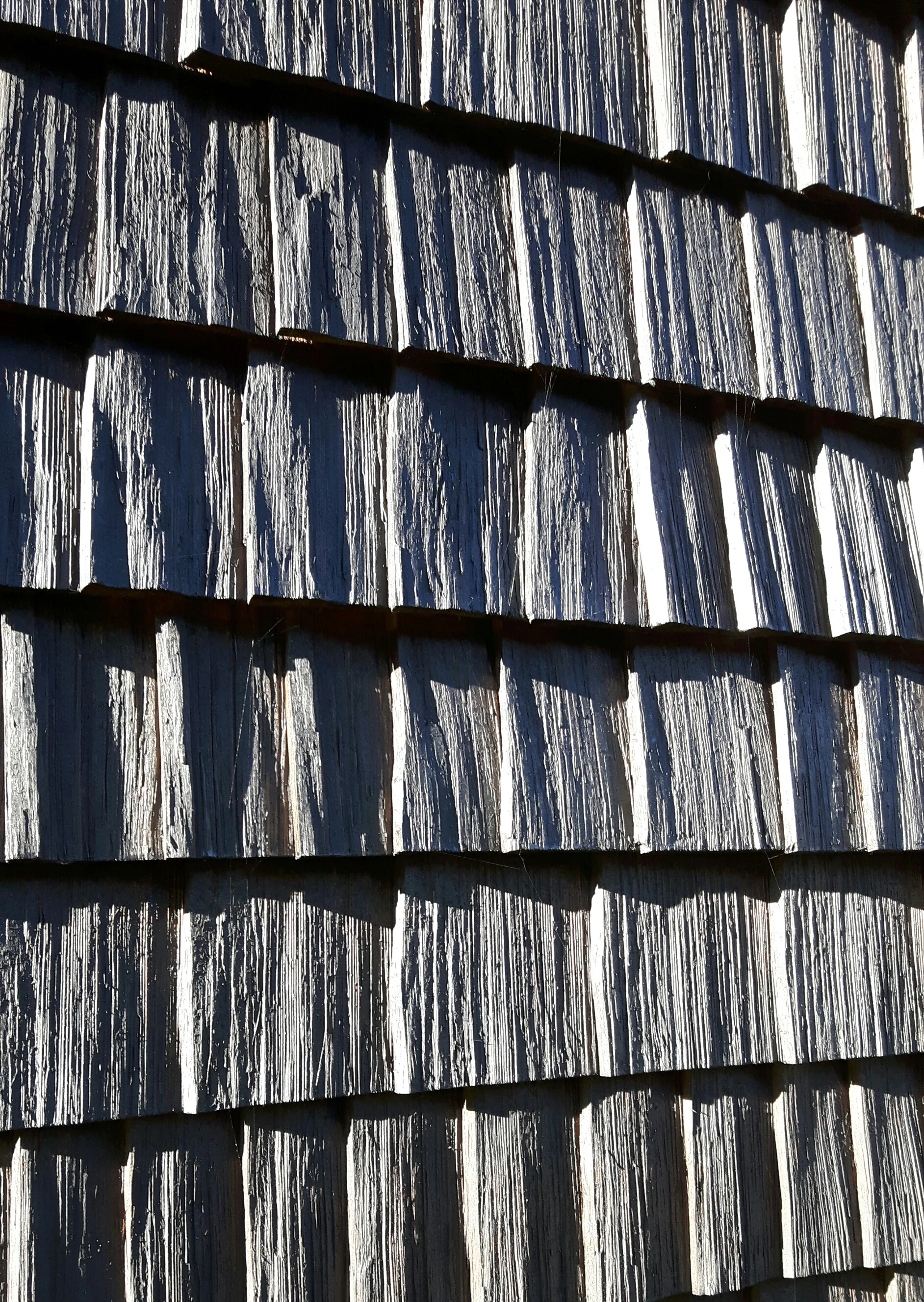 20161007_145316-1.jpg