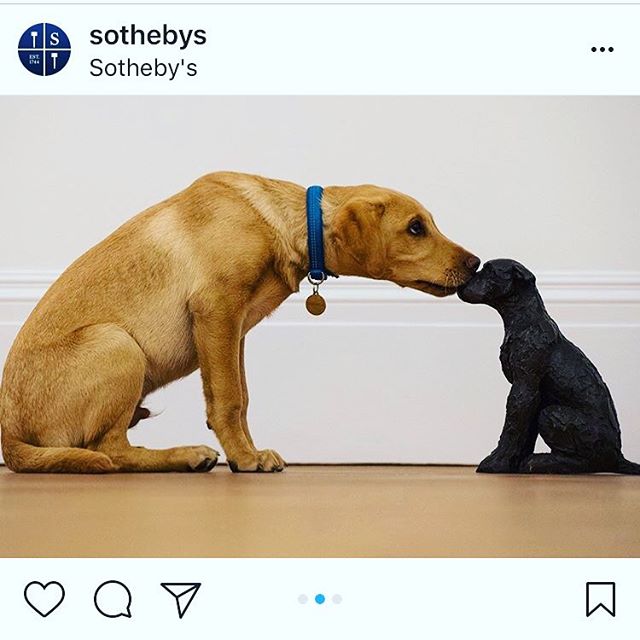 Over here at dOGUMENTA HQ we were so excited when @sothebys posted this amazing pic of a pup exploring a bronze by Dame Elisabeth Frink that we thought #artdogsaturday couldn&rsquo;t come soon enough! 🐾 What&rsquo;s your pup seeing in the galleries 