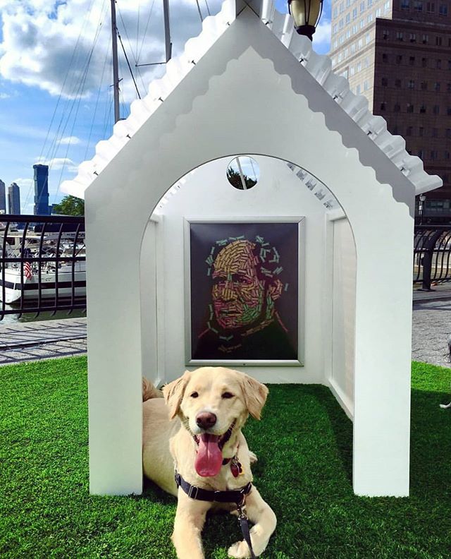 A house for art and dogs! #tbt our first exhibition in NYC last fall when Gehrig and thousands of other culture hounds like him got to explore art on their own terms! ❤️📸@gehrig_the_golden #culturehound #artdog #publicart #artforevertone #dogslife #