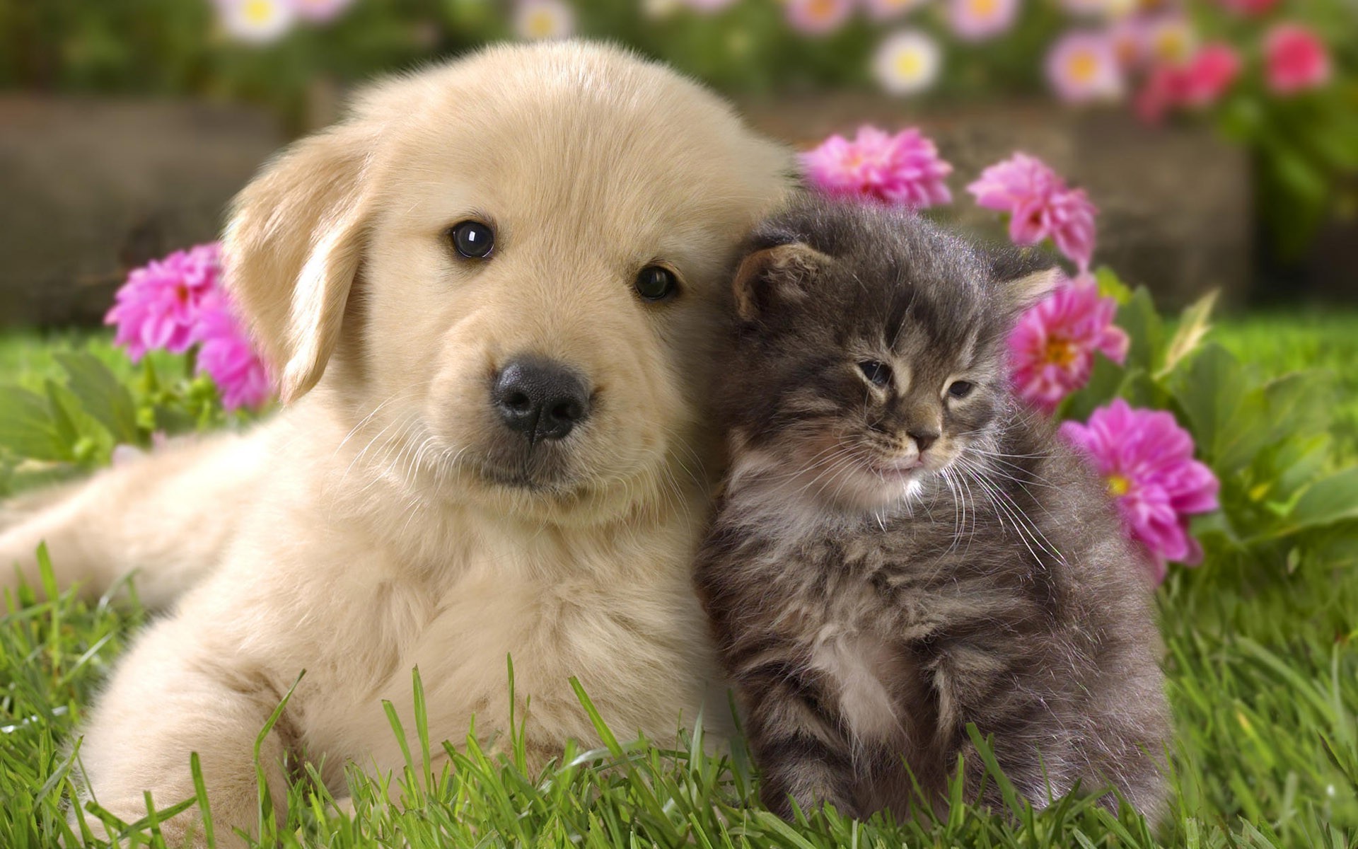 This blog post wouldn't be complete without this image.