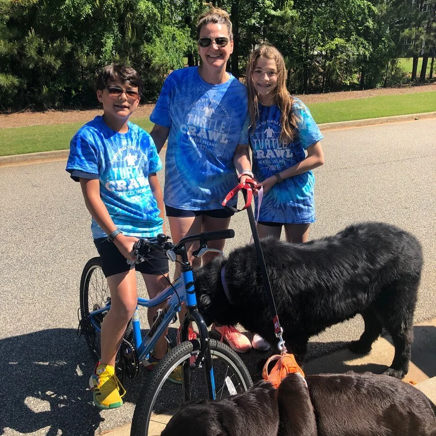 Virtual 5k ... #turtlecrawl ..

We couldn&rsquo;t make it to #jekyllisland this weekend so we participated in the virtual 5k instead!  Even @hudson_and_ollie joined in for a little while. 

#savetheseaturtles