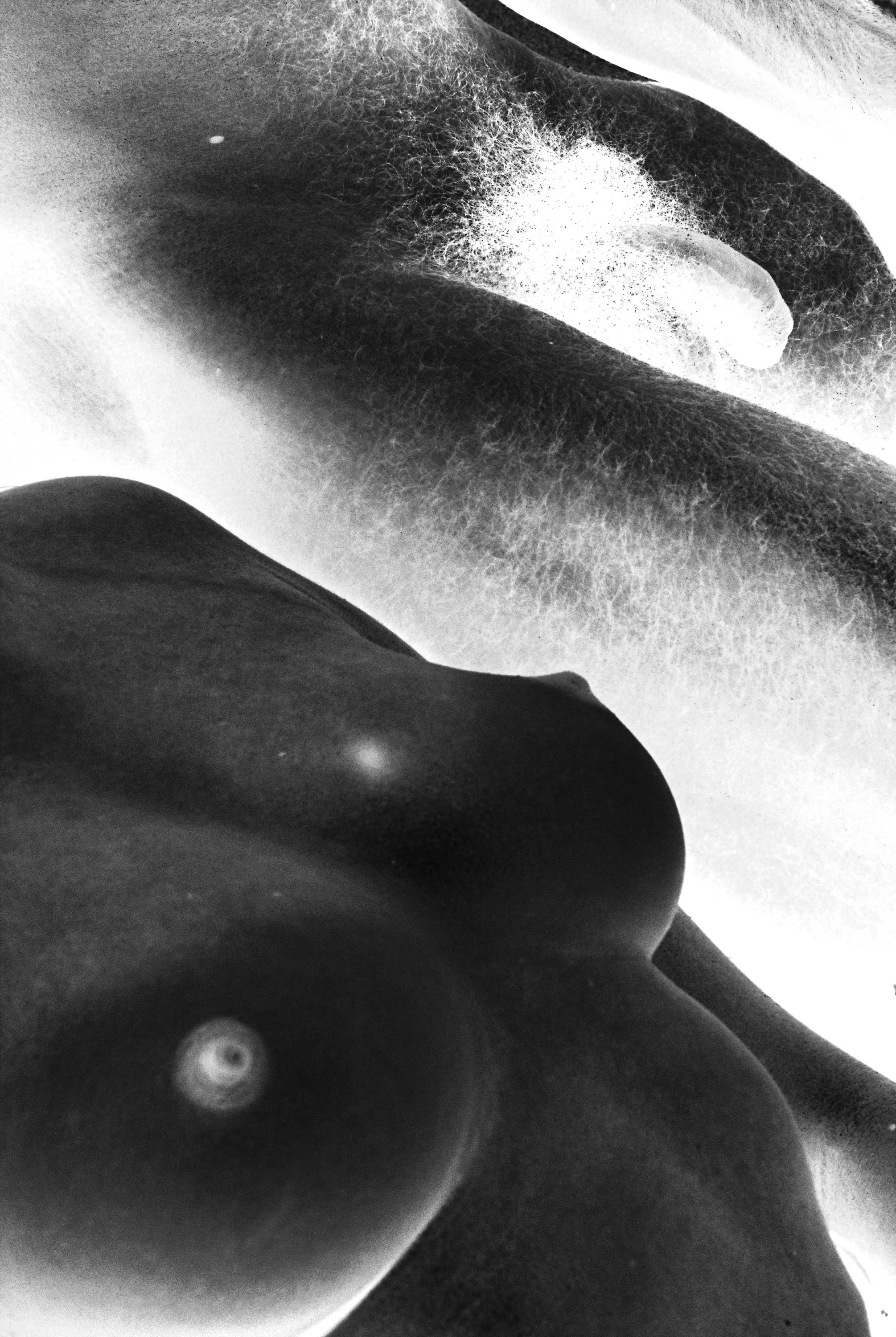 montage-photo.net-66e2a06304d99294579190.jpg