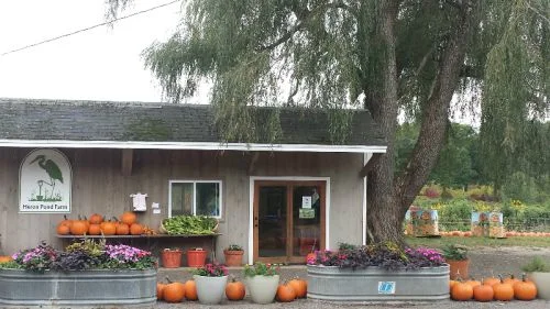 farm stand.jpg