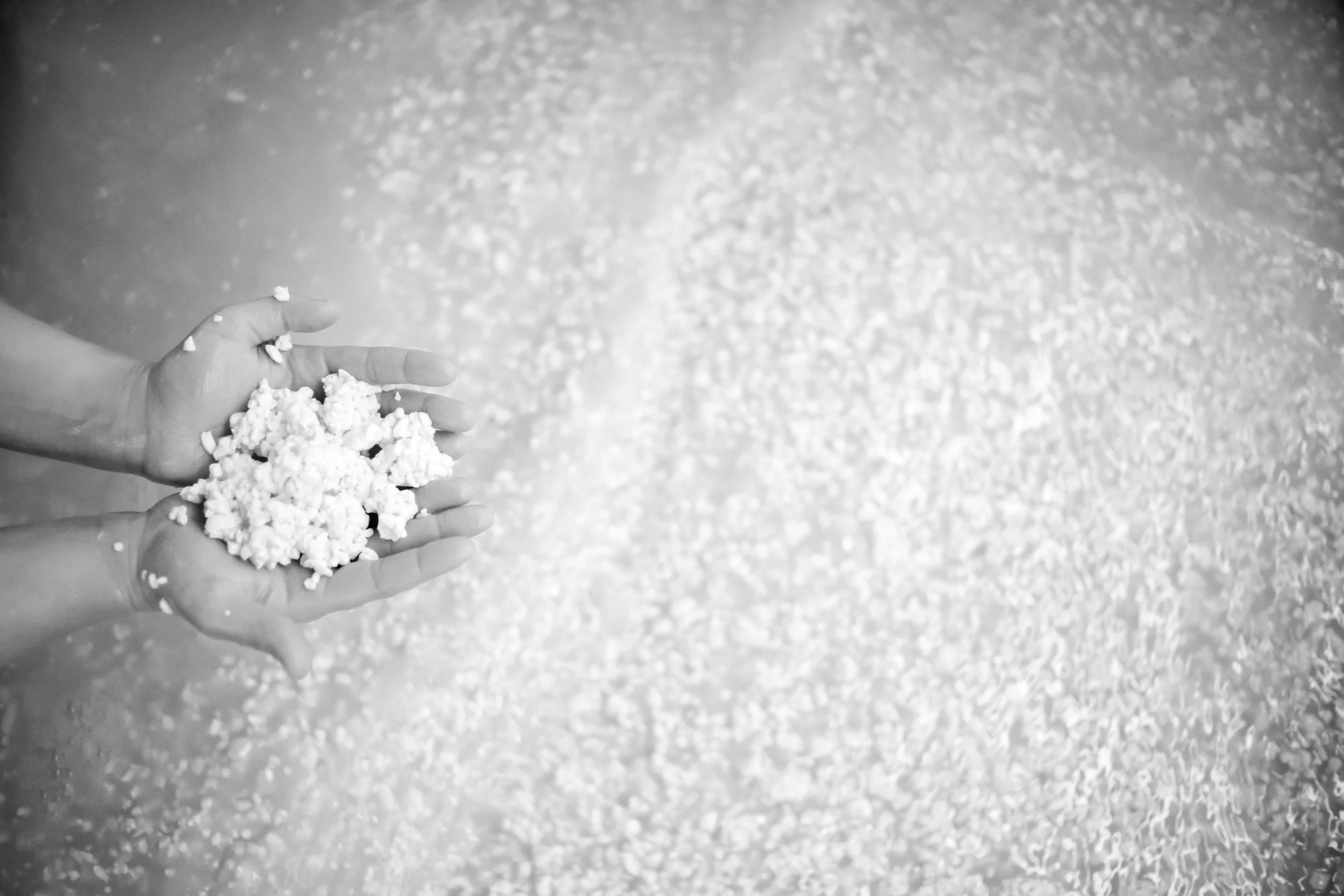 hands holding curds.jpg