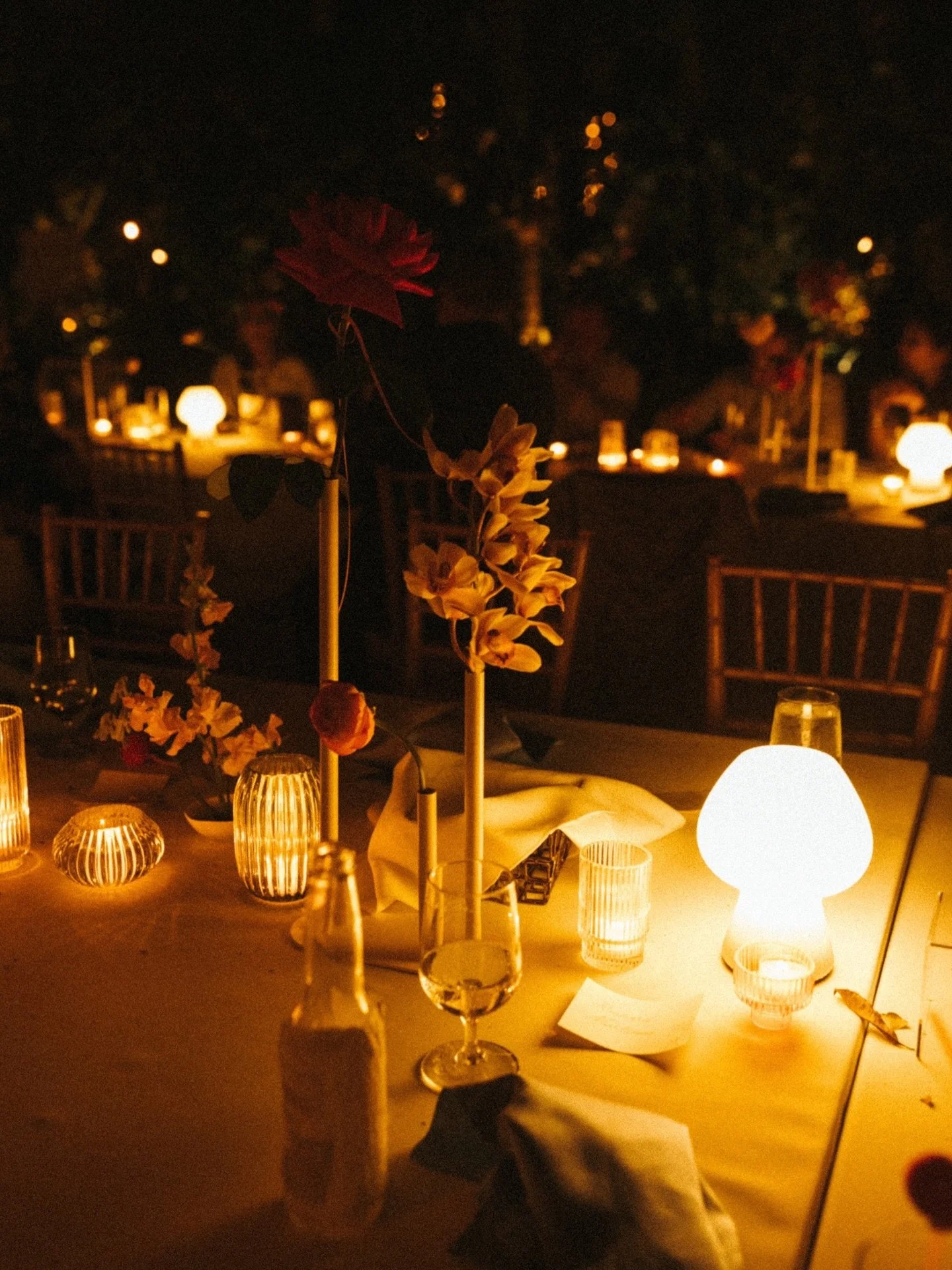 this is your sign to trust the glow.

Intimate lighting, intentional florals, and a reception that feels warm, romantic, and completely you. 🤍

venue: @historicpalmlodge 
planning: @mhweddingplanning
photographer: @tiffanydelkphotography
super 8 vid