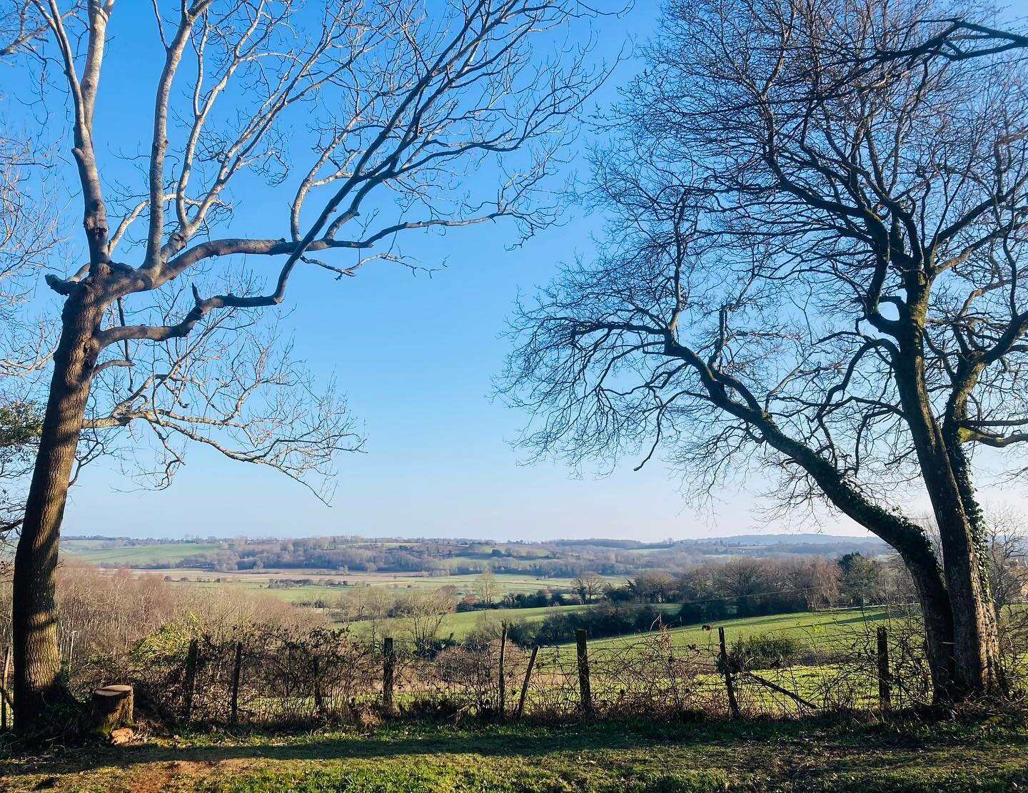 The view just got bigger. One of the best in East Sussex . Opening tomorrow for our new season ahead @barefoot in the woods. Looking forward to welcoming guests and sharing our beautiful location once again. Check out our new booking system @barefoot