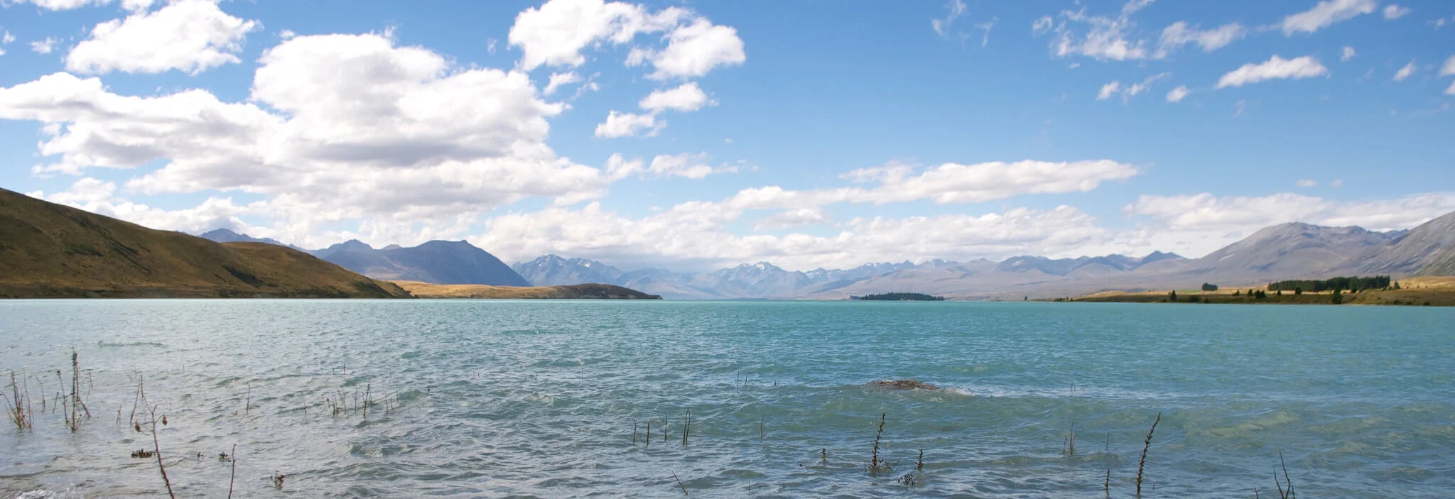 Your Gift of Forgiveness