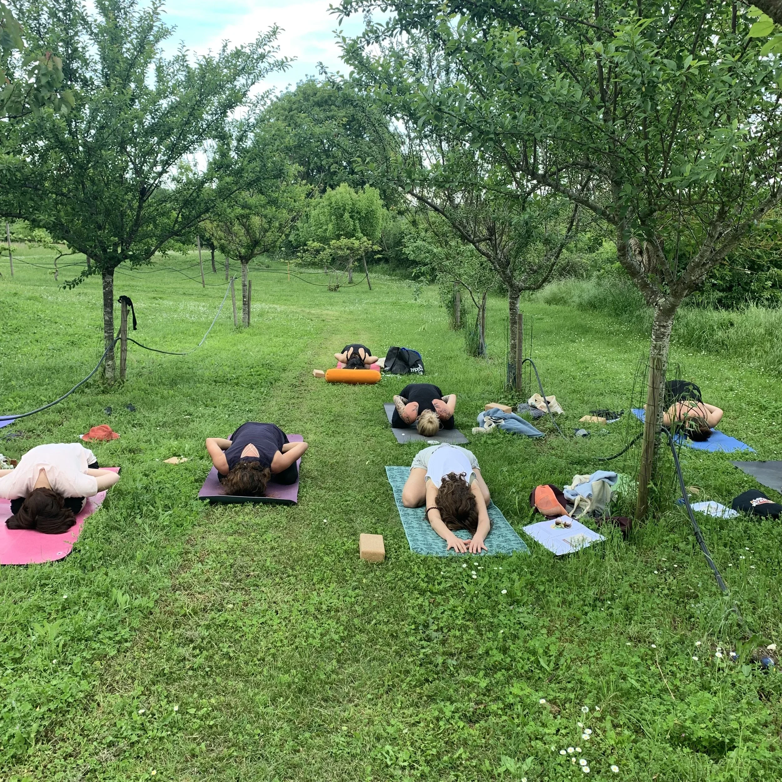 Retraite de yoga avec Emmanuelle Yoga