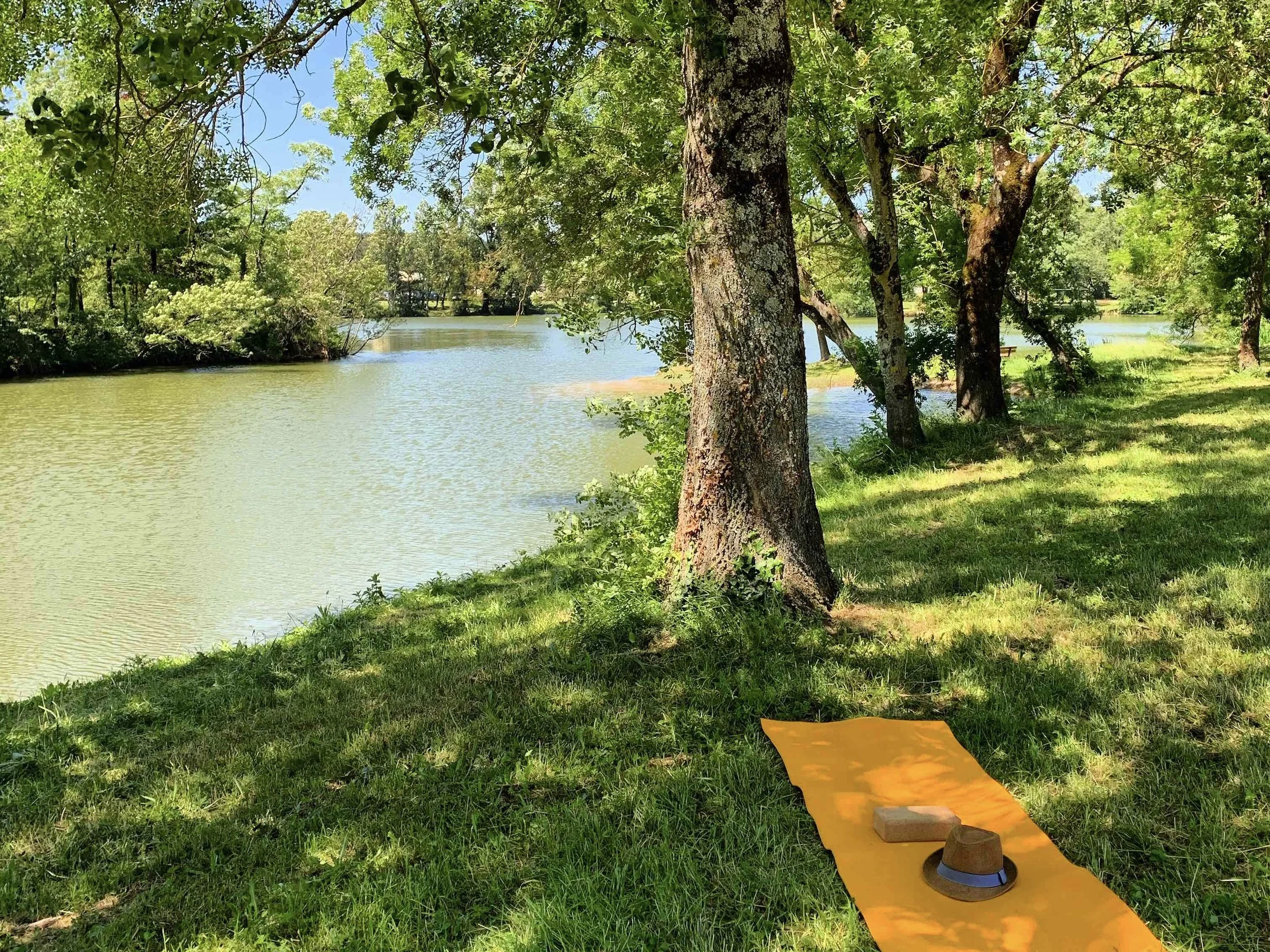 Vinyasa Yoga au parc: 36 nuances de salutation au soleil