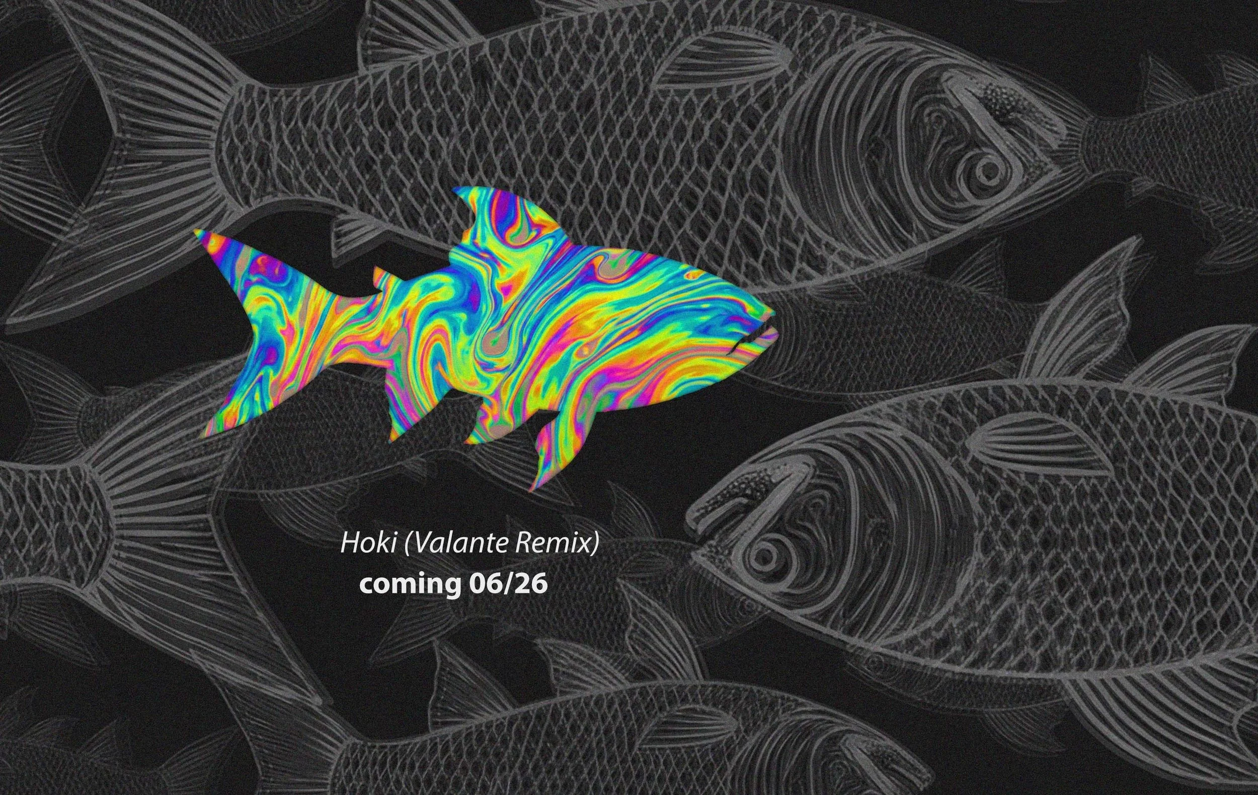 Hoki RMX Cover4_Web.jpg