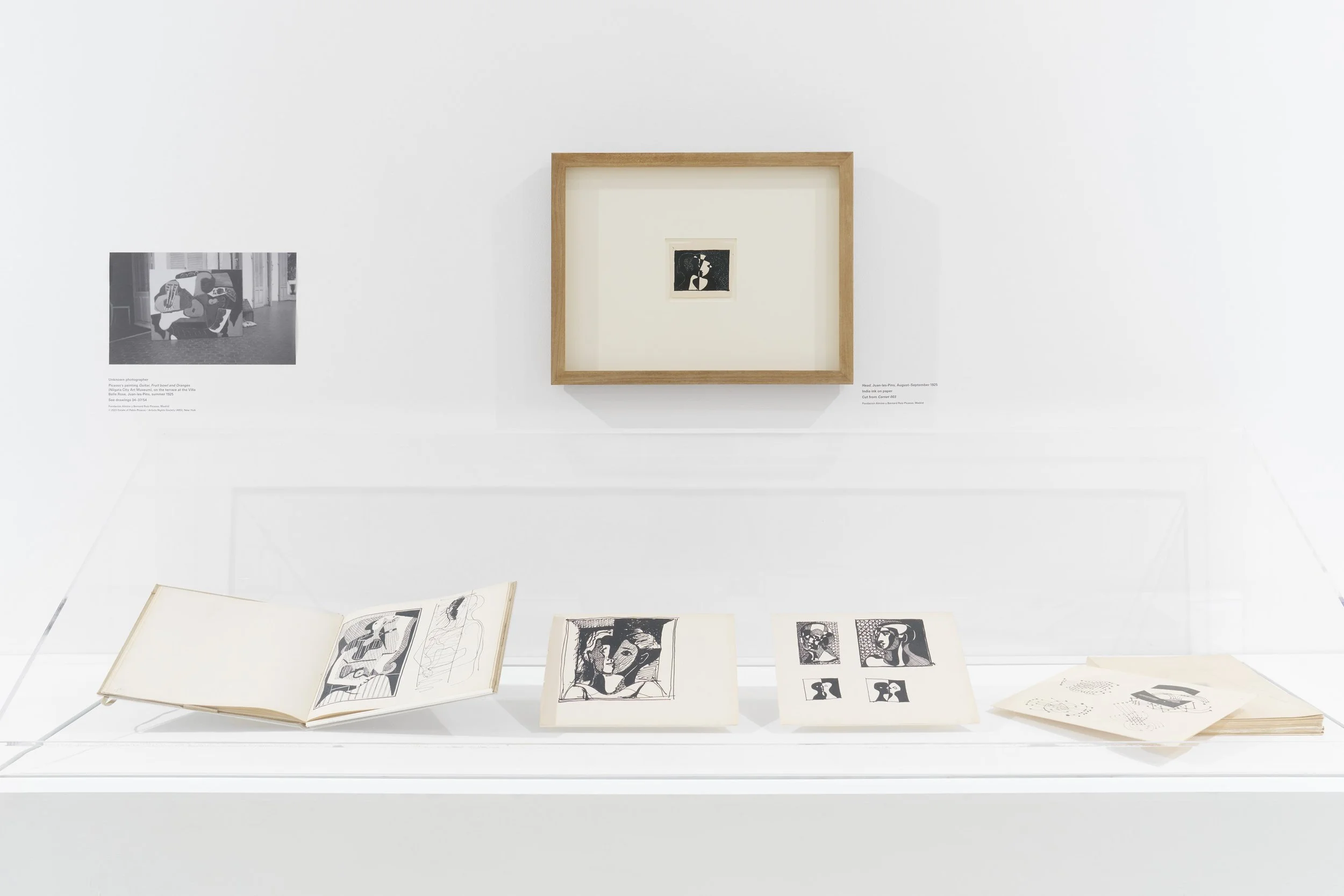 PICASSO_INST_540_2023_v22-High Resolution — 300 dpi .jpg