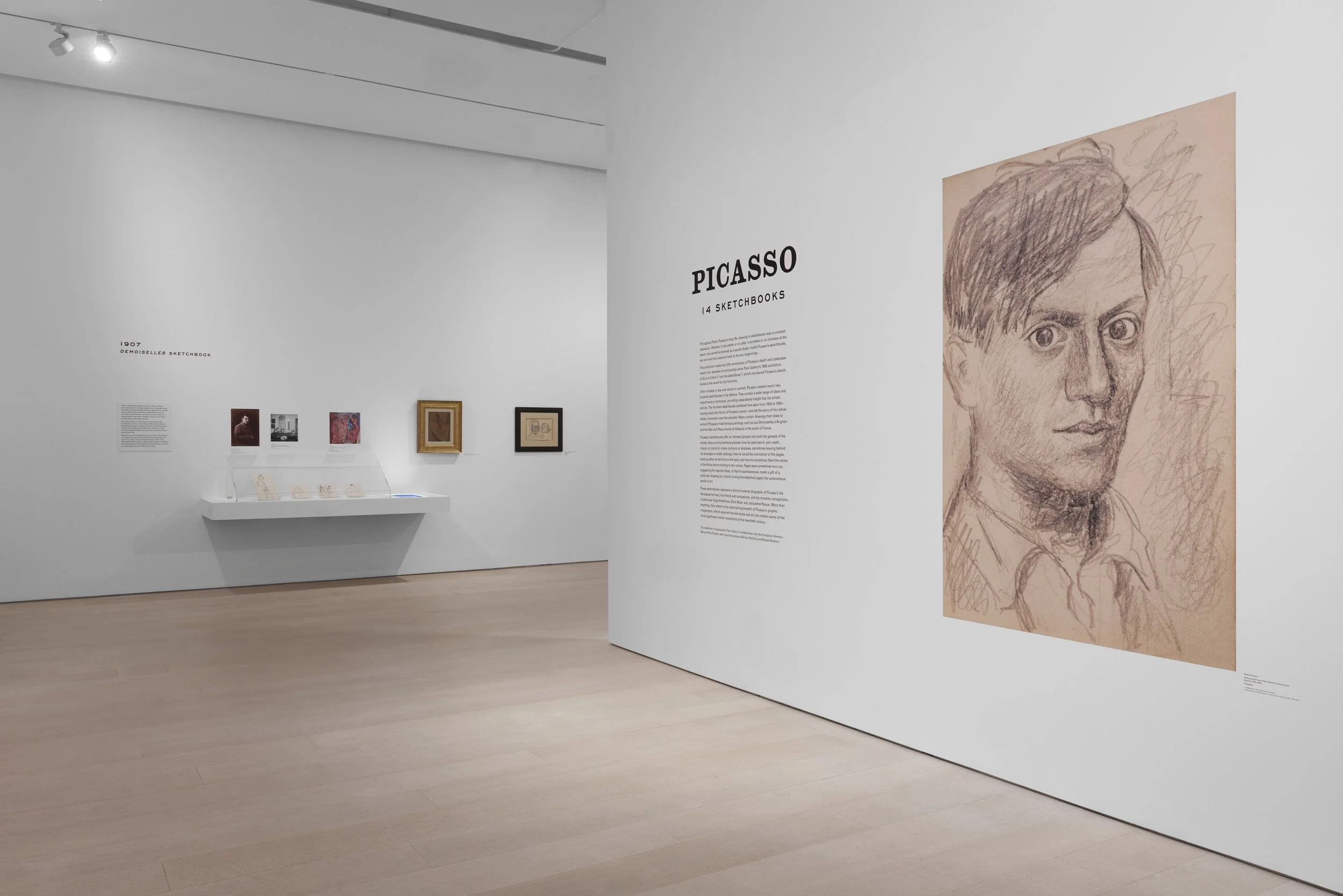 PICASSO_INST_540_2023_v02-High Resolution — 300 dpi .jpg