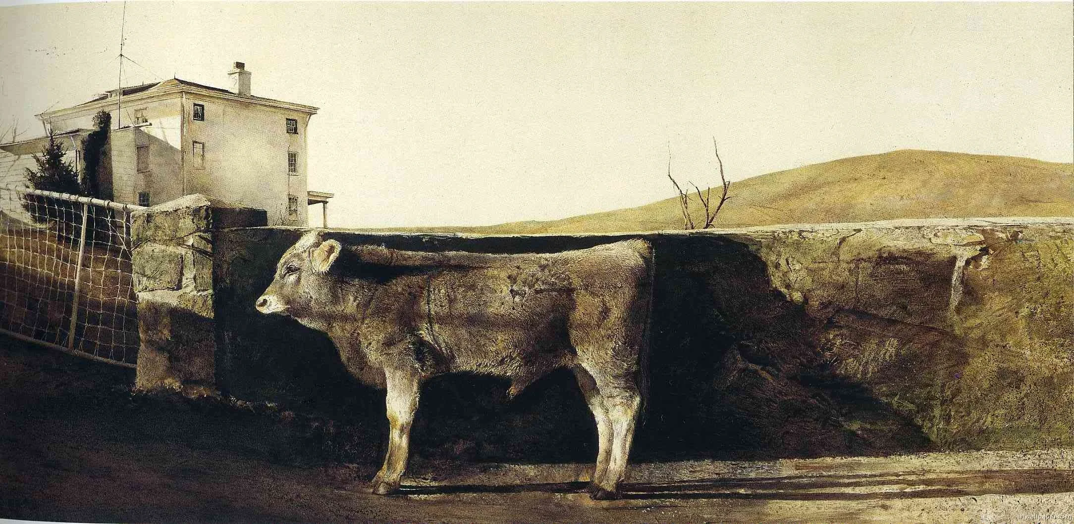 Wyeth 4.jpg
