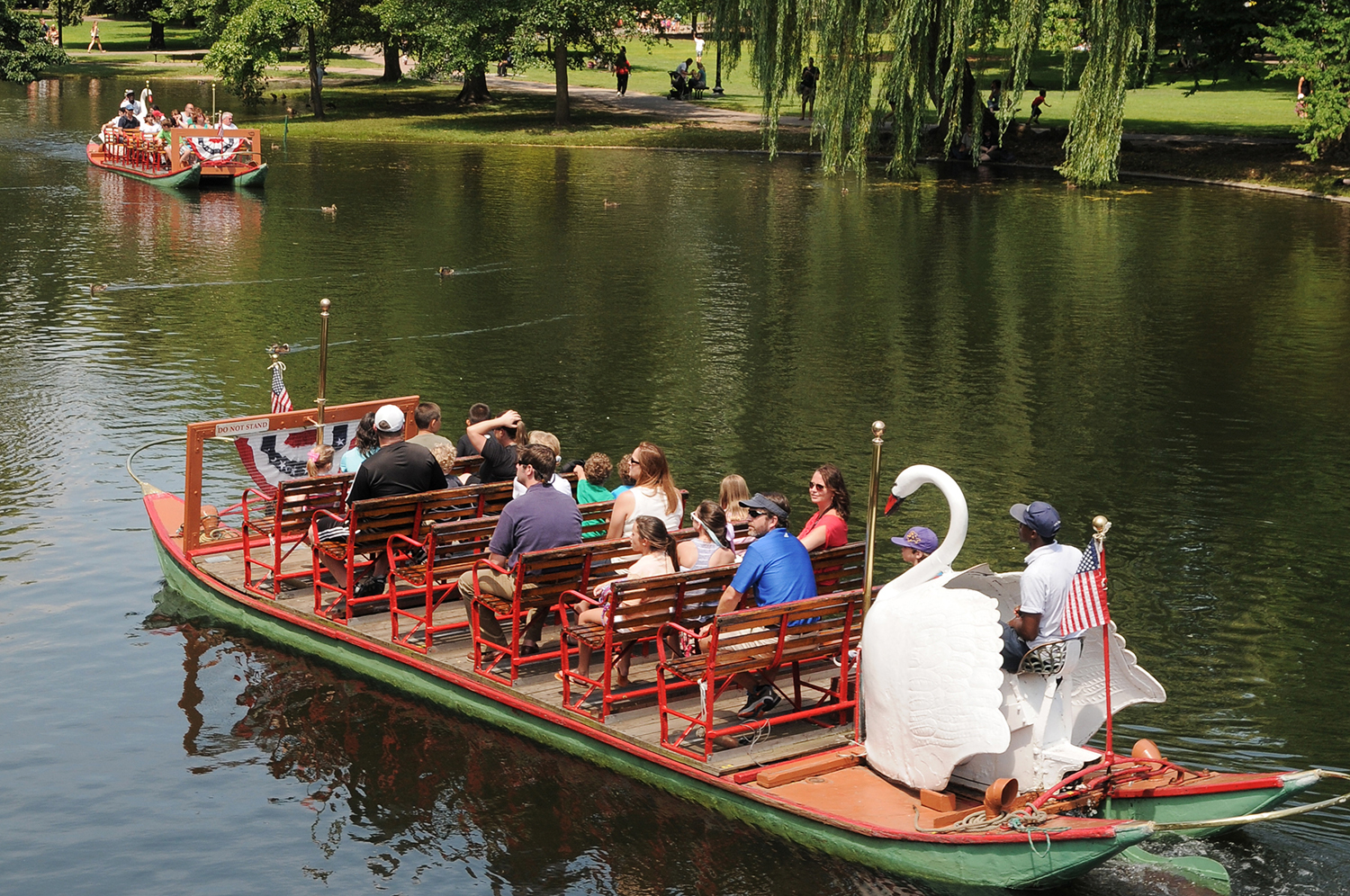 Swan Boats