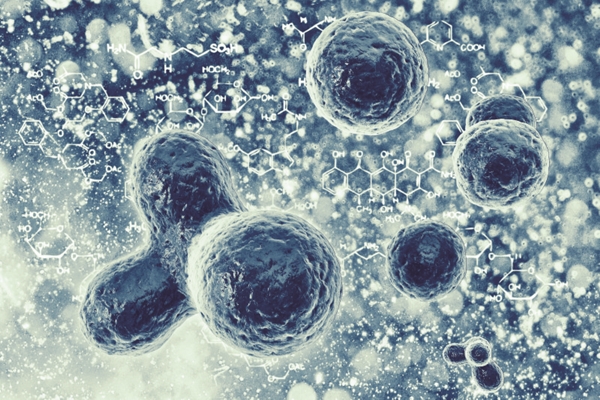 Each one of us is made up of a complex ecosystem of microbes and human cells. By weight, 46% of the DNA in your body is human, the remaining 54% is microbial. Pic courtesy of Esse Skincare. 