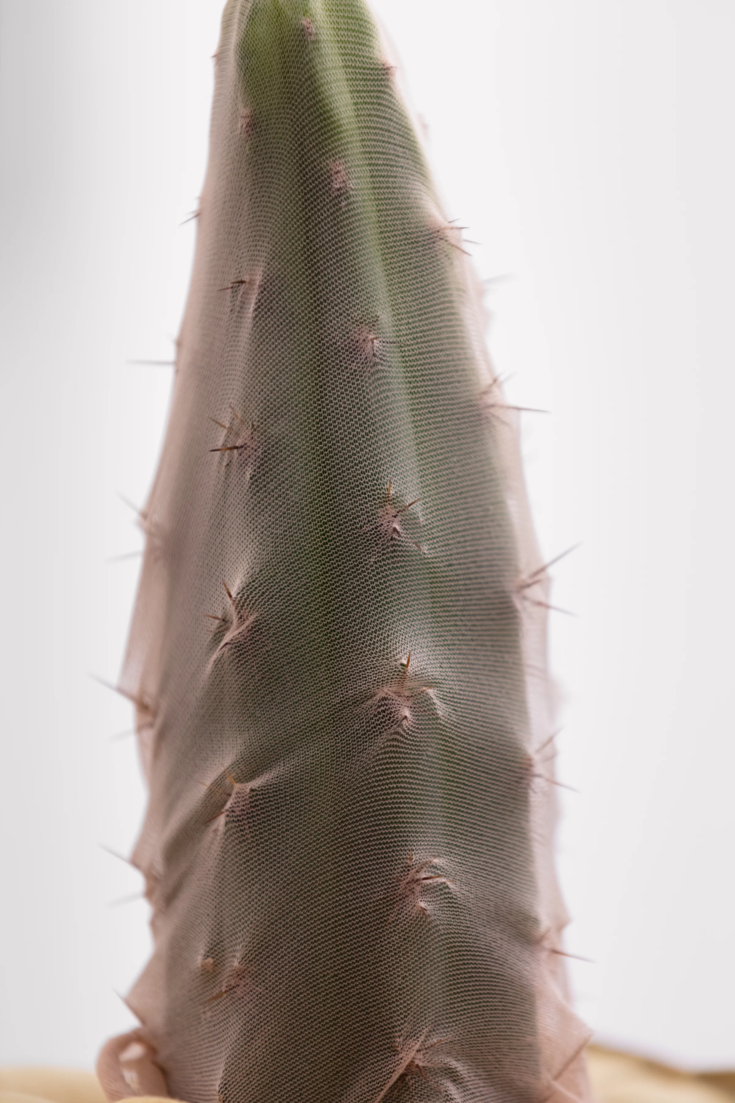 20180219_180207_SOLAR1930_v1_sRGB_3600px.jpg