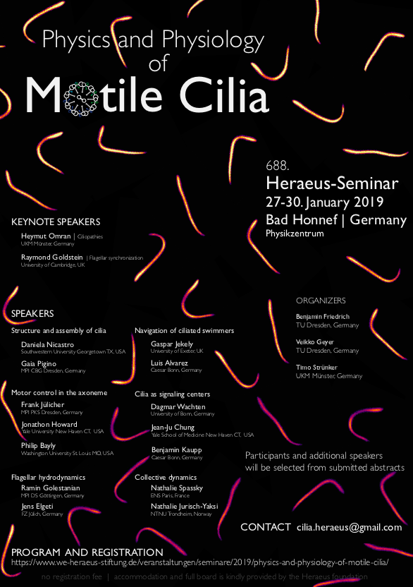Motile Cilia flyer.png